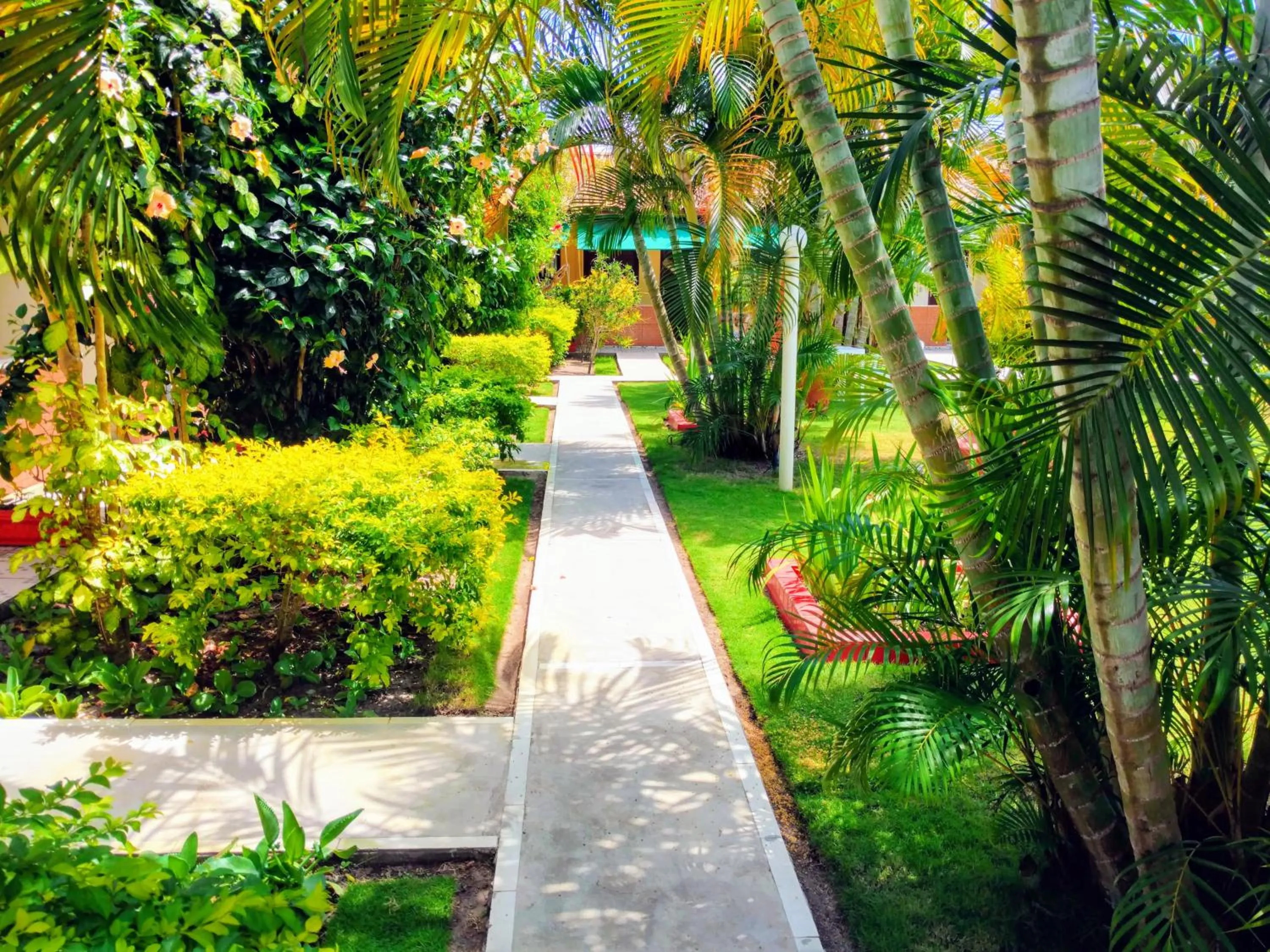 Spring in Pousada Verdes Mares