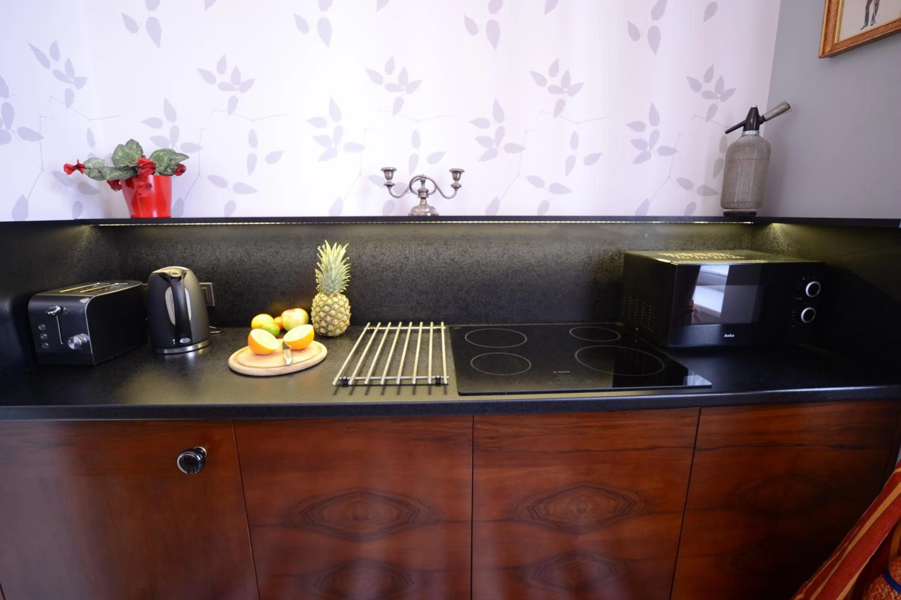 Kitchen or kitchenette in Crystal Suites Old Town