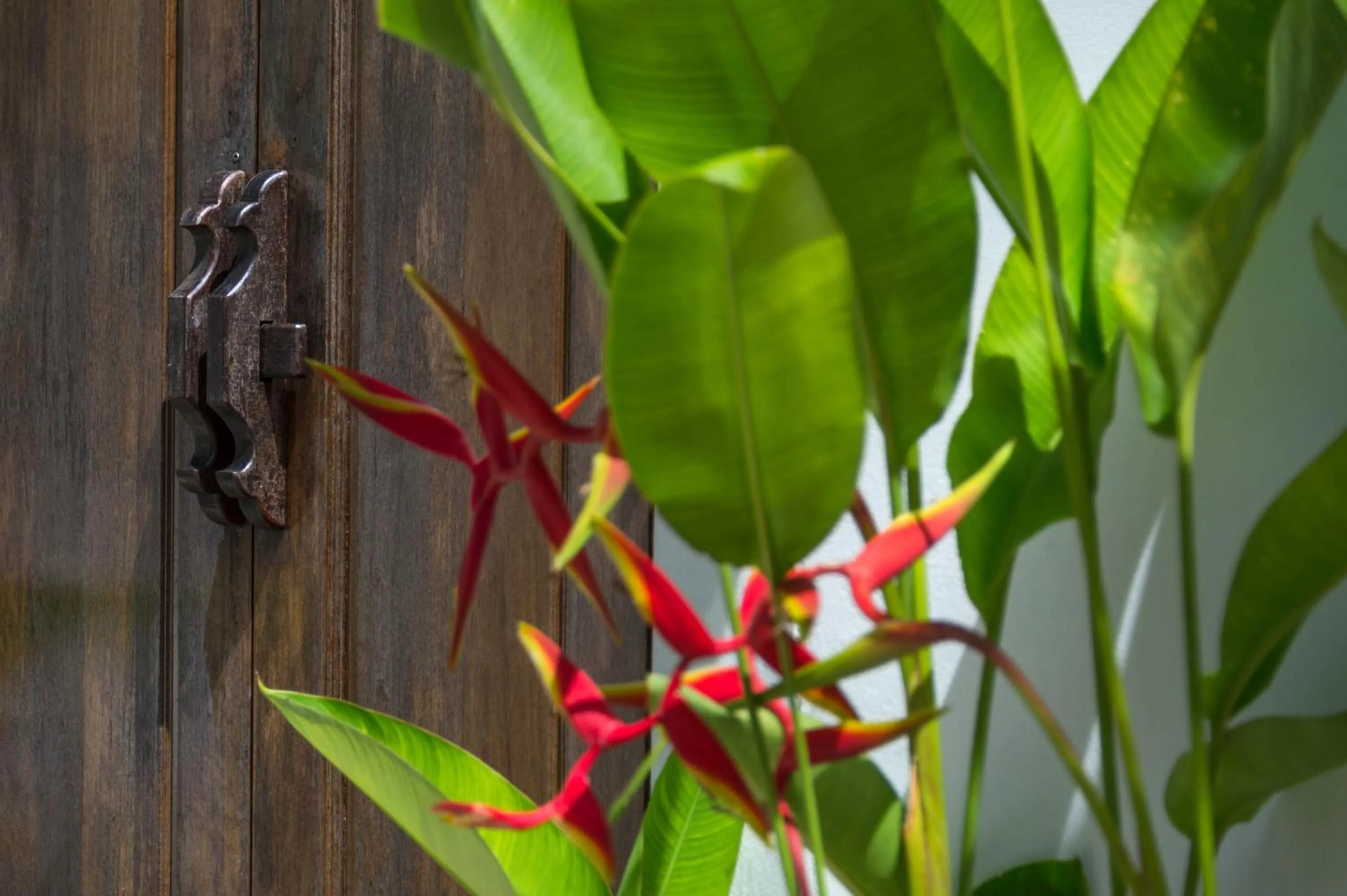 Garden view, Other Animals in Amadha Villas Retreat 