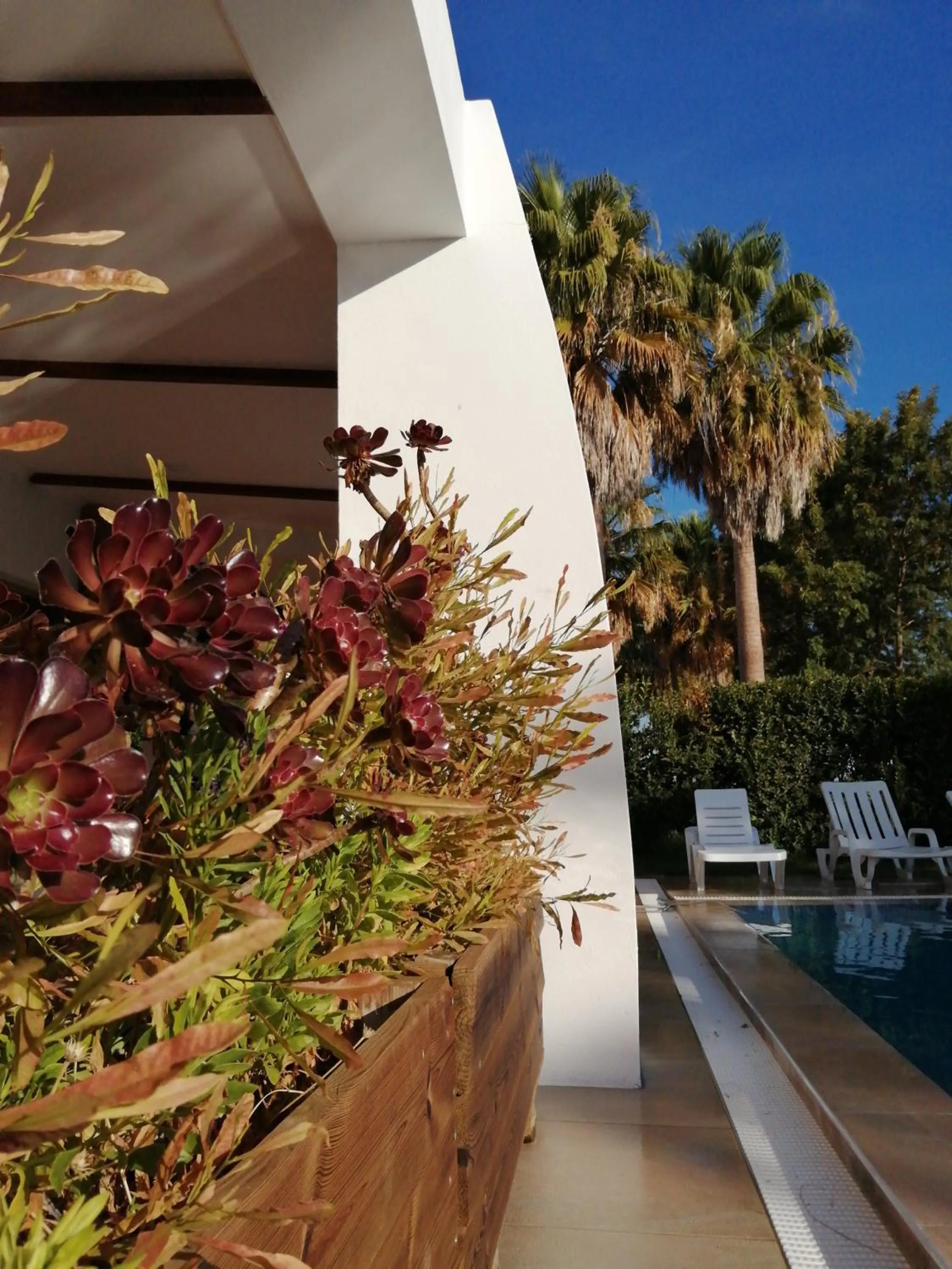 Lobby or reception in Herdade da Diabroria - Agroturismo