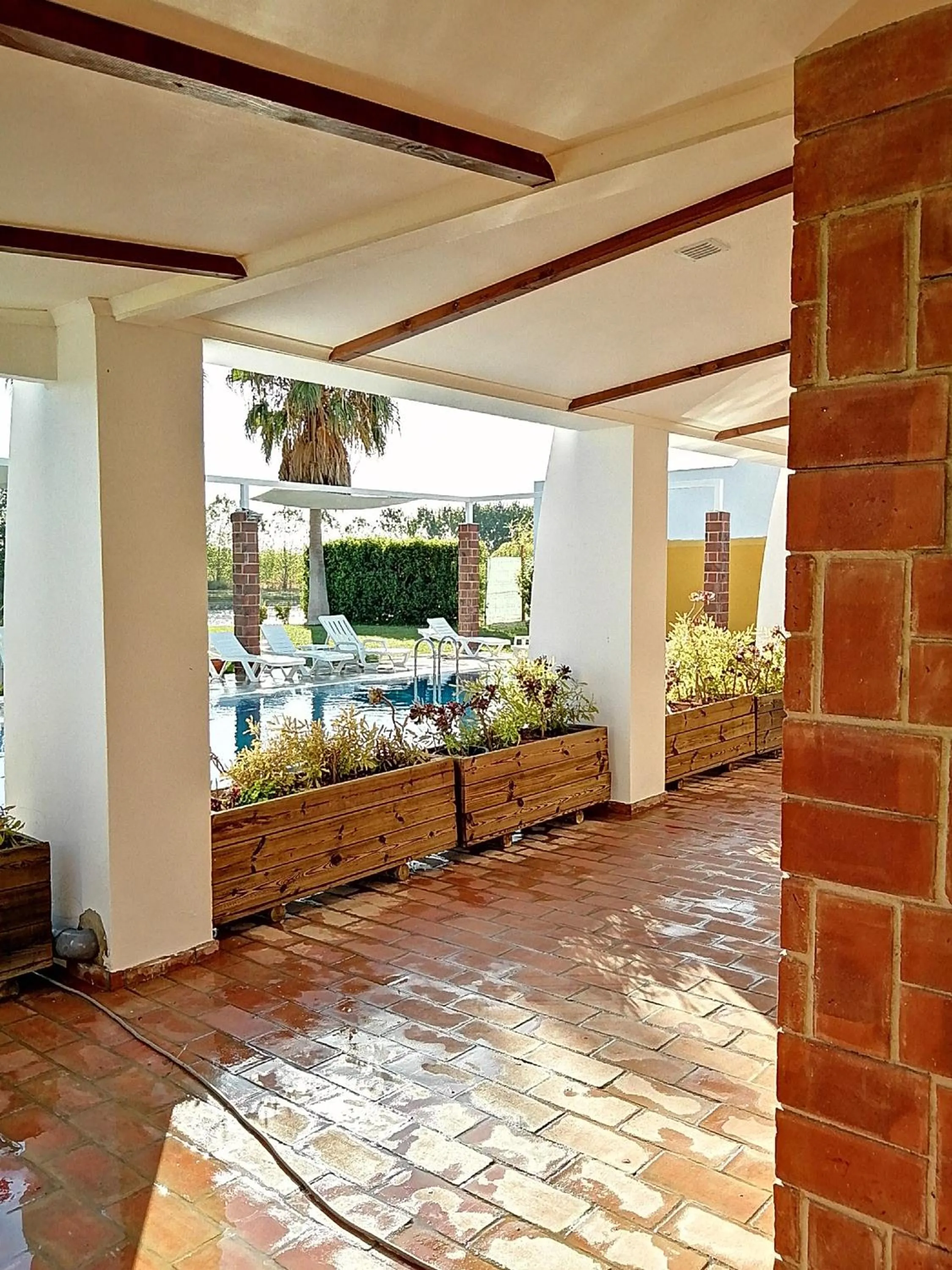 Patio in Herdade da Diabroria - Agroturismo