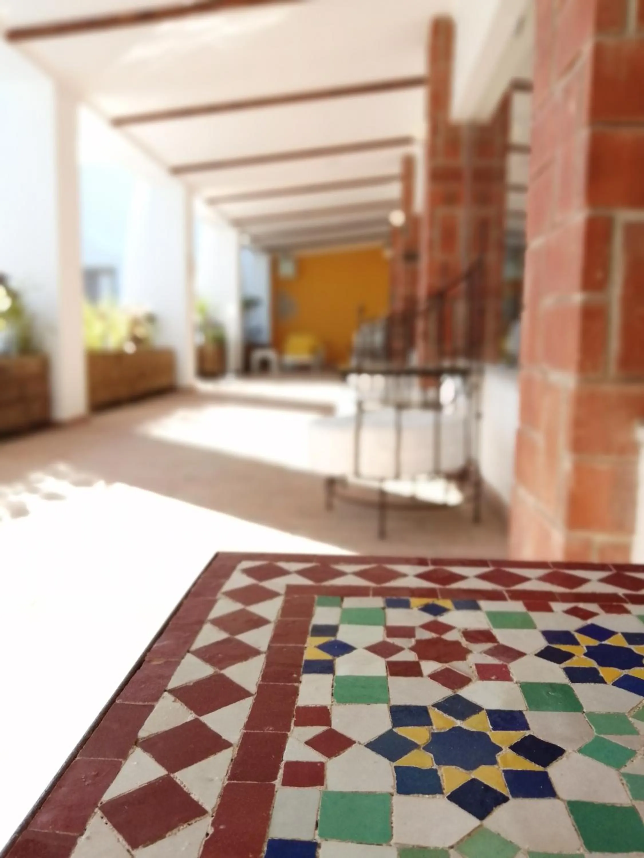 Patio in Herdade da Diabroria - Agroturismo