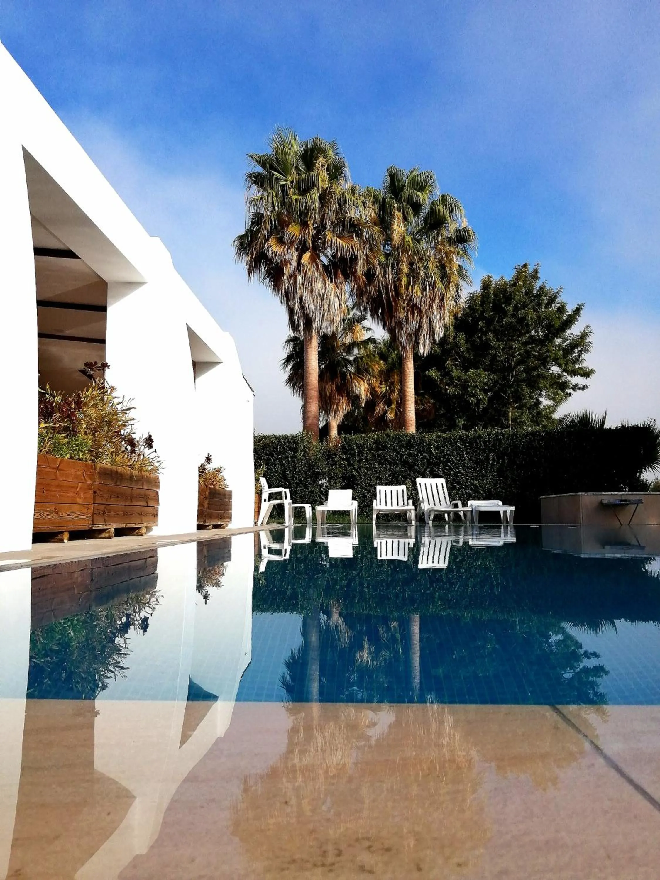 Swimming pool in Herdade da Diabroria - Agroturismo