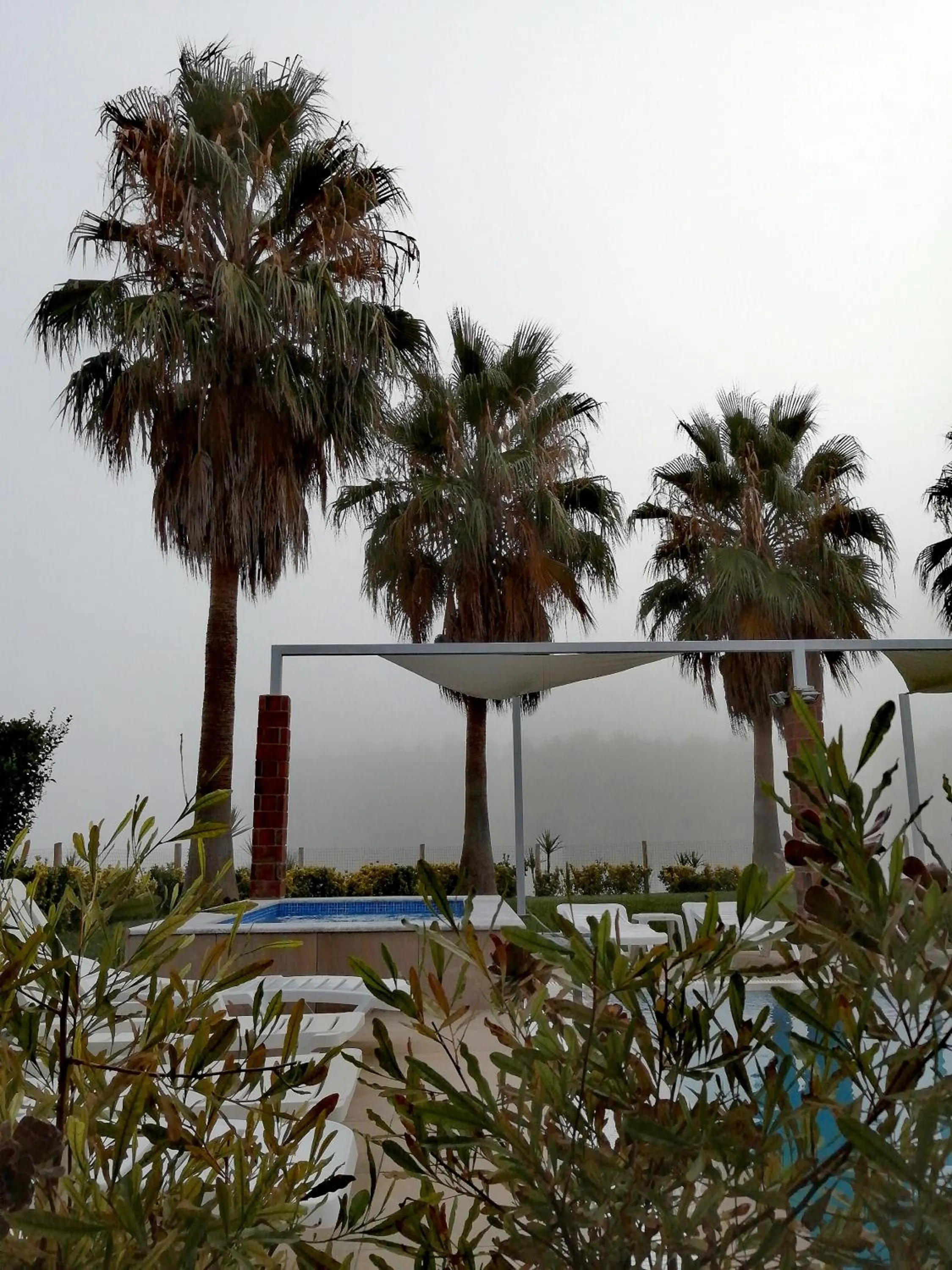 Swimming pool in Herdade da Diabroria - Agroturismo