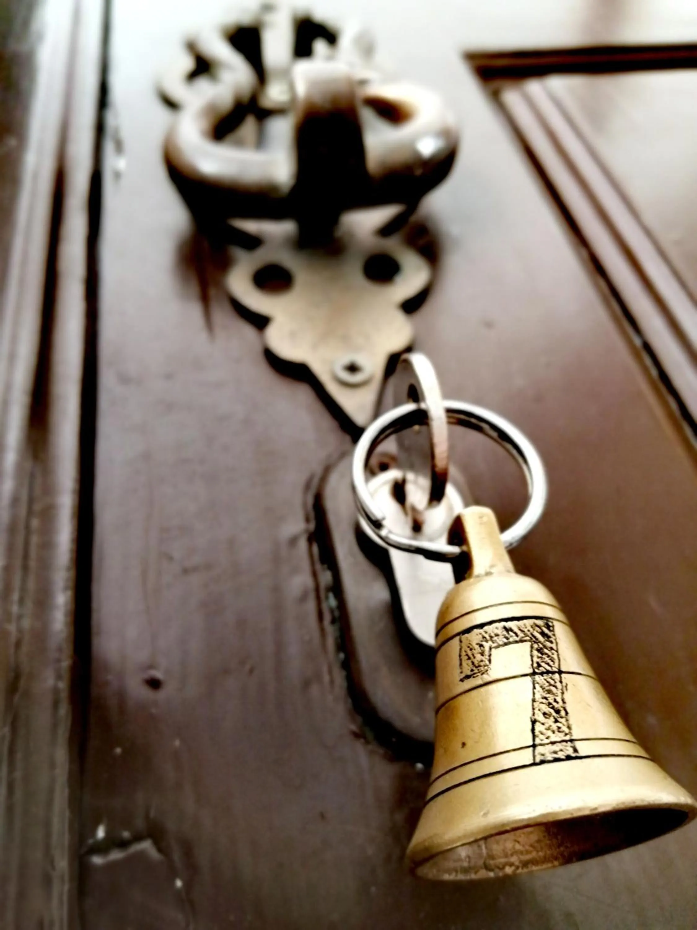 Area and facilities in Herdade da Diabroria - Agroturismo