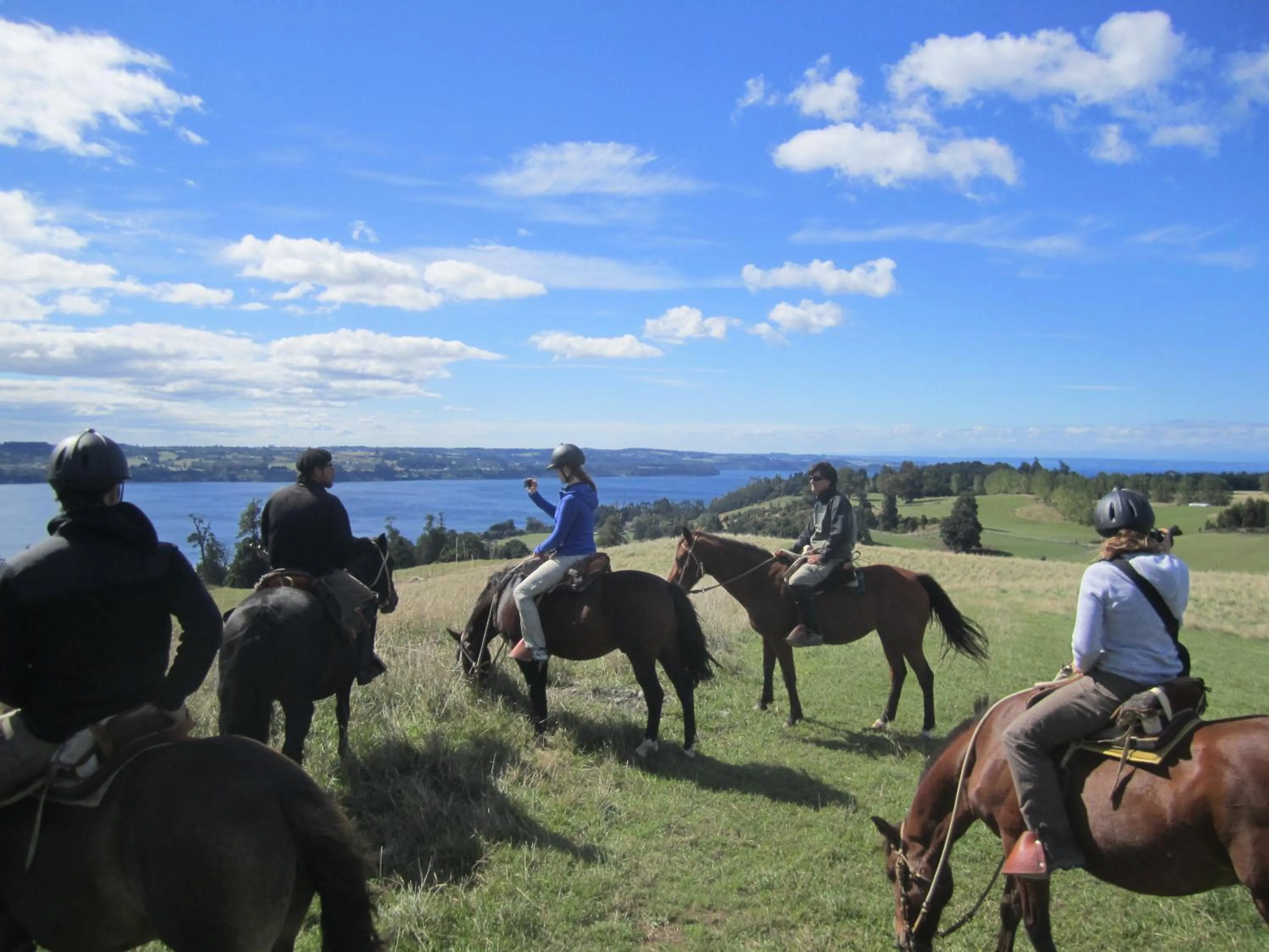 Horse-riding in Hostal Compass del Sur