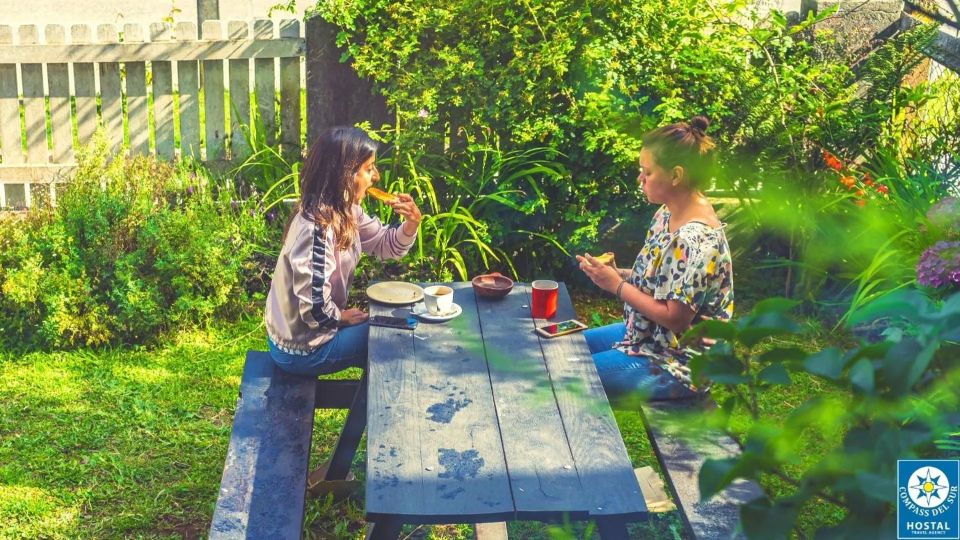 Garden in Hostal Compass del Sur