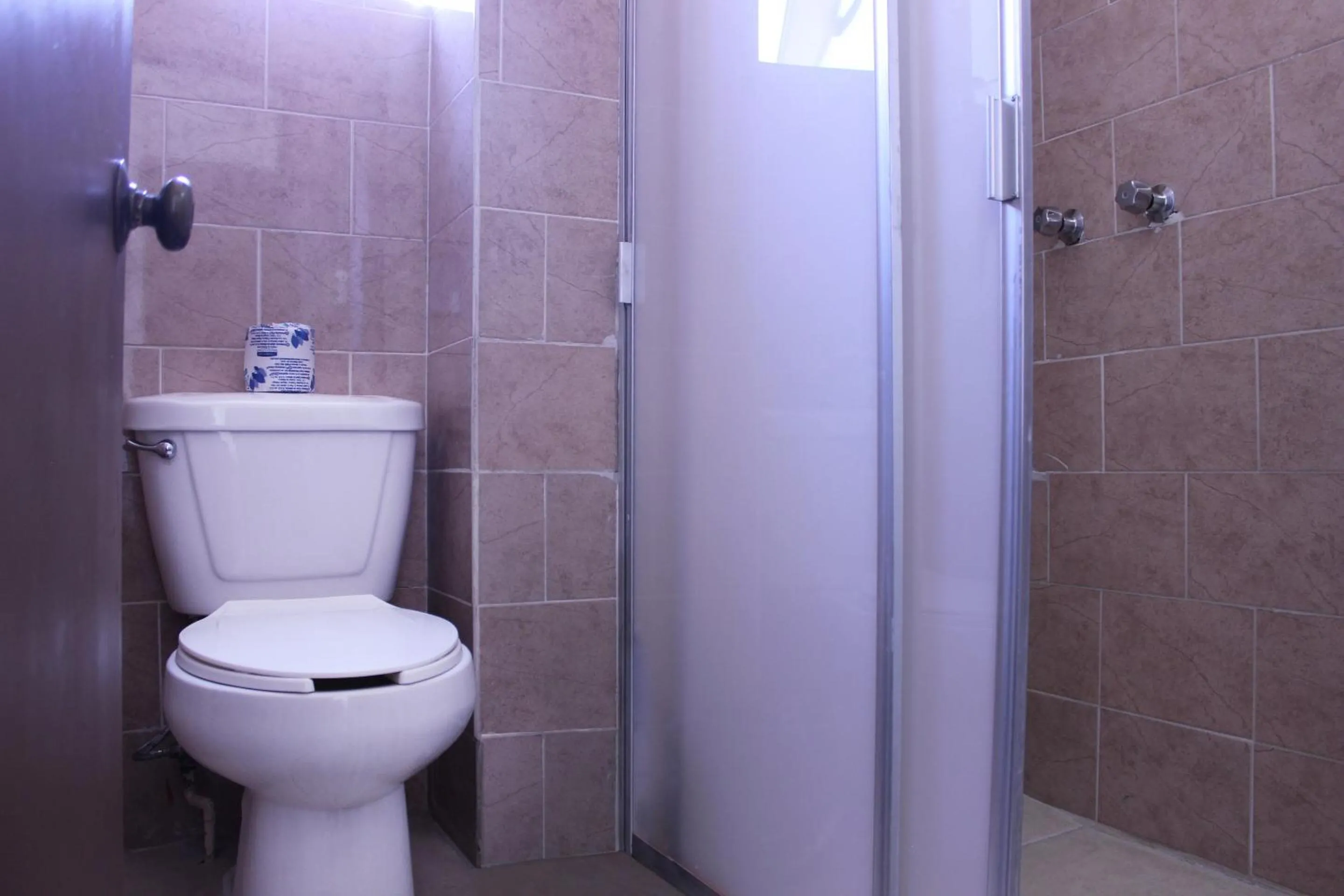 Bathroom in Hotel Plaza Aleman
