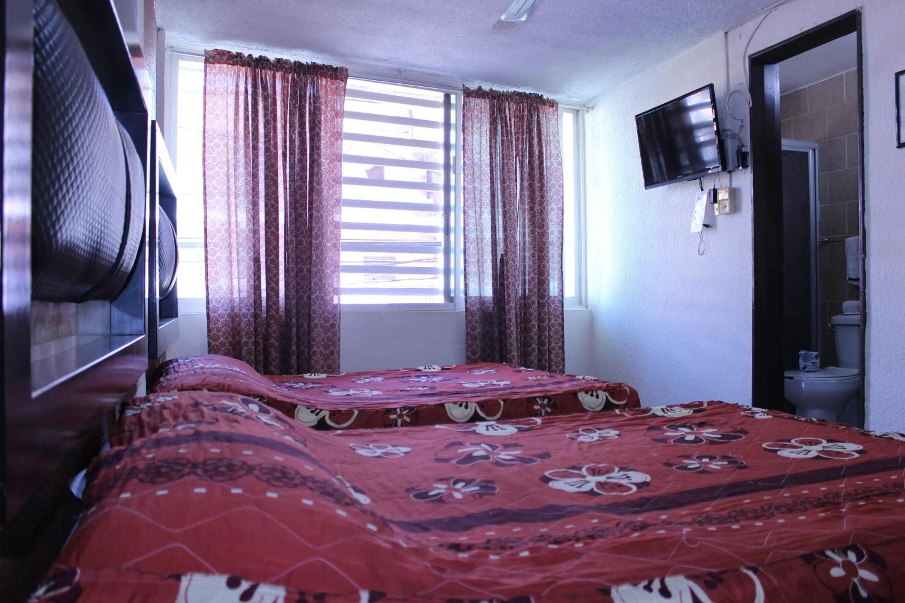 Standard Two Beds  in Hotel Plaza Aleman