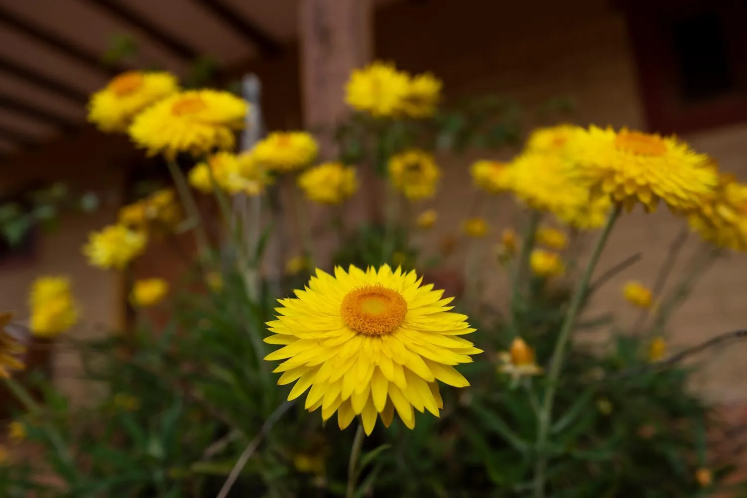 Property building in Hotel Spa Casa de Adobe Villa de Leyva