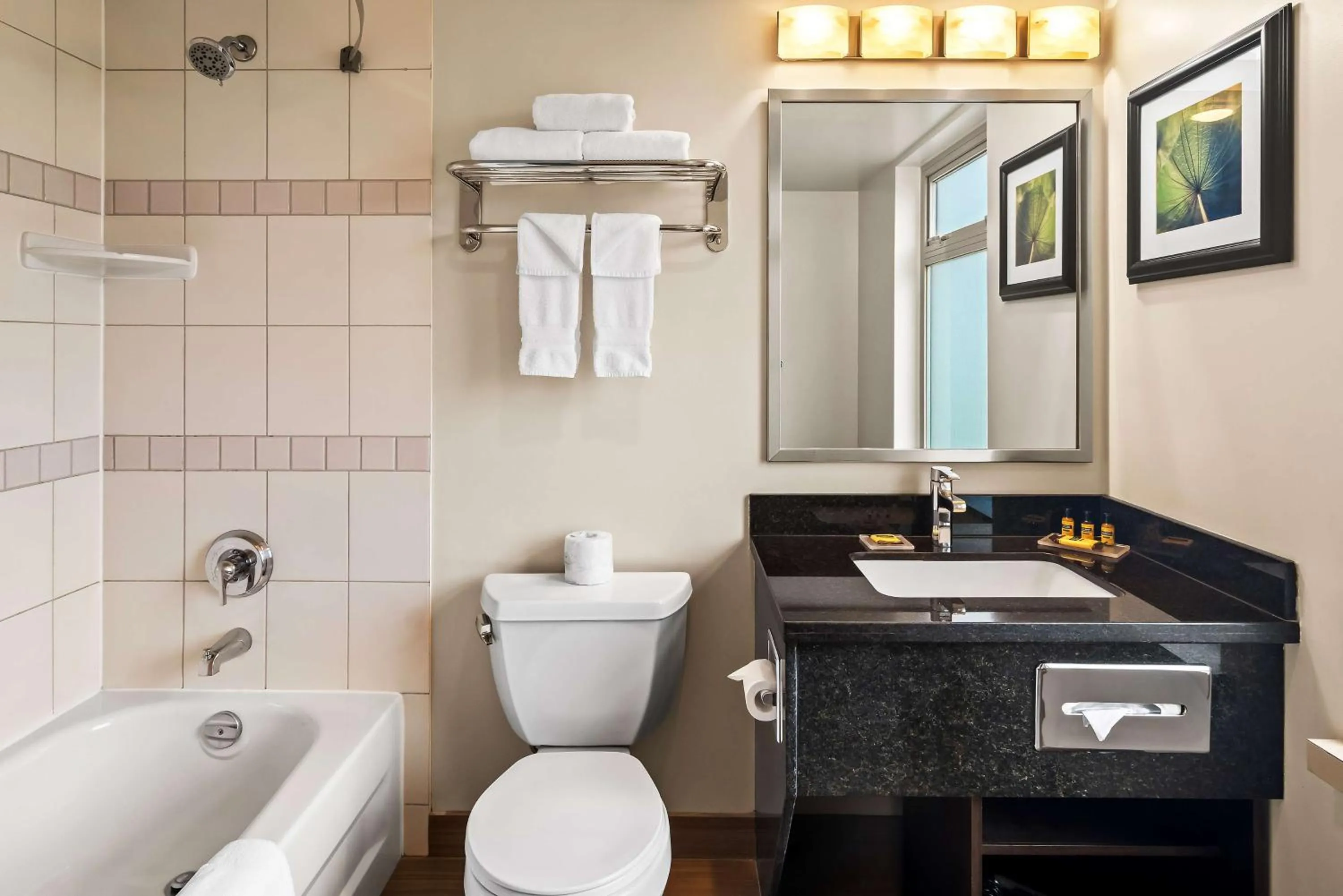 Bathroom in Best Western Plus Pitt Meadows Inn &amp; Suites