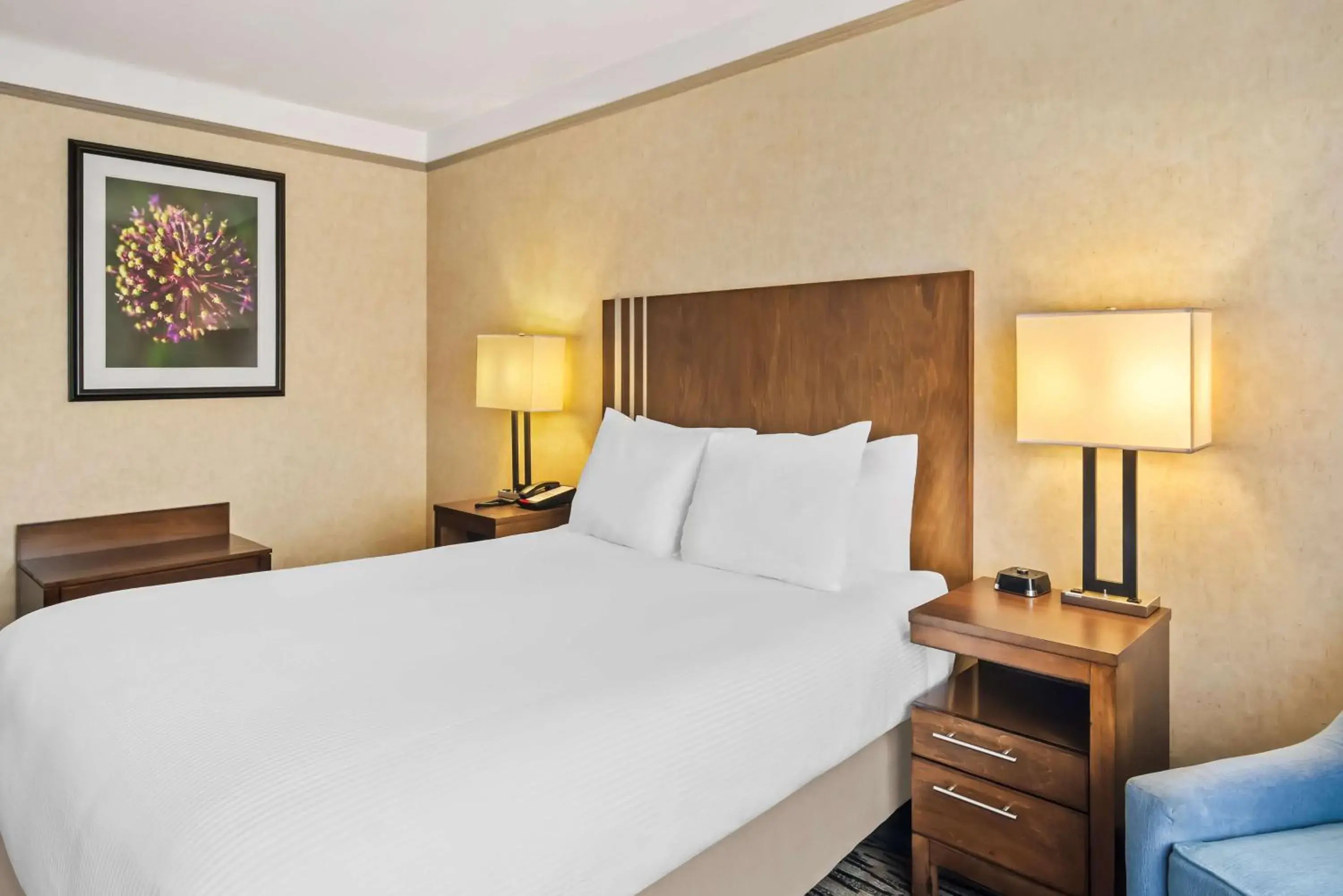 Bedroom, Bed in Best Western Plus Pitt Meadows Inn & Suites Bedroom, Bed in Best Western Plus Pitt Meadows Inn & Suites