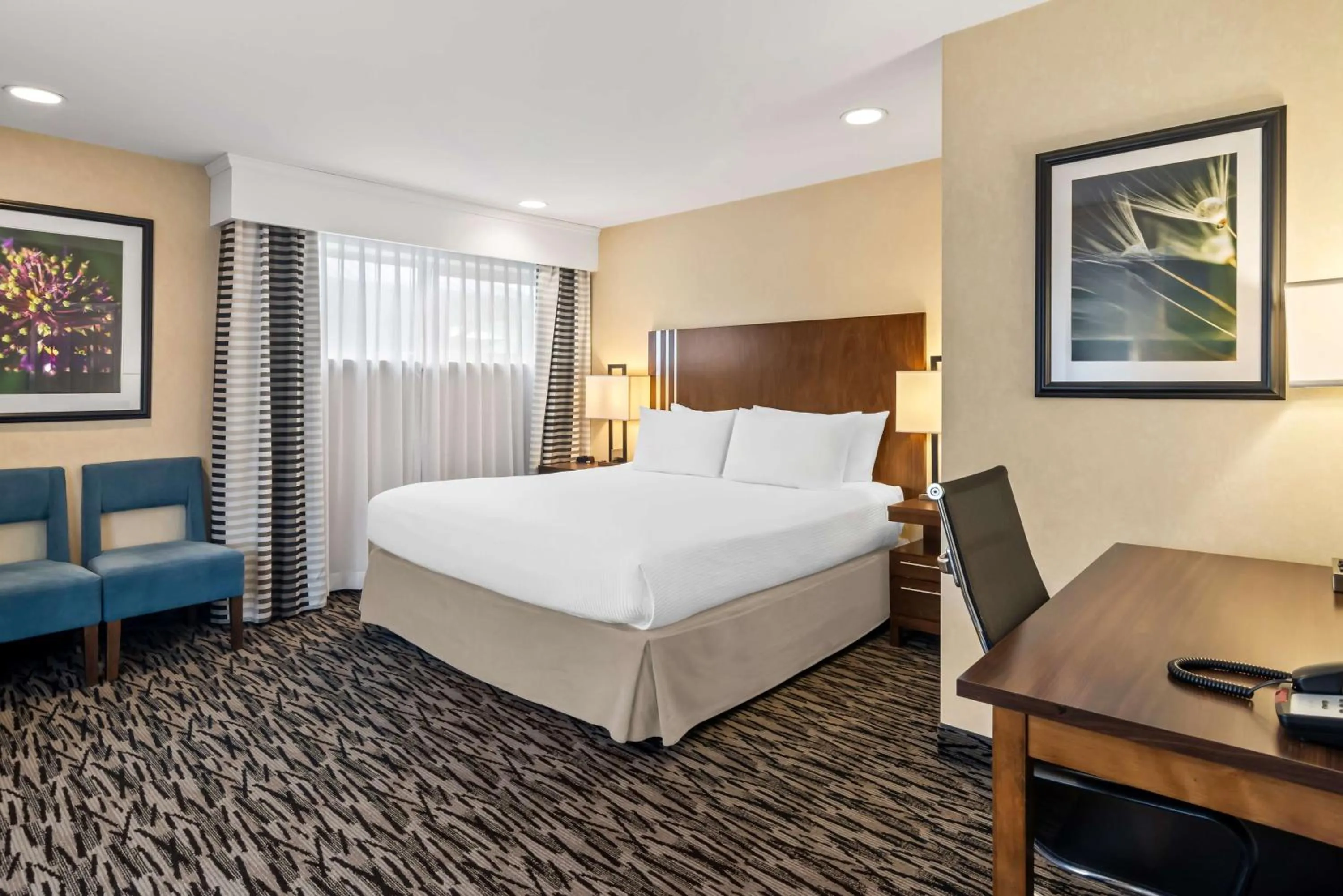 Photo of the whole room, Bed in Best Western Plus Pitt Meadows Inn &amp; Suites