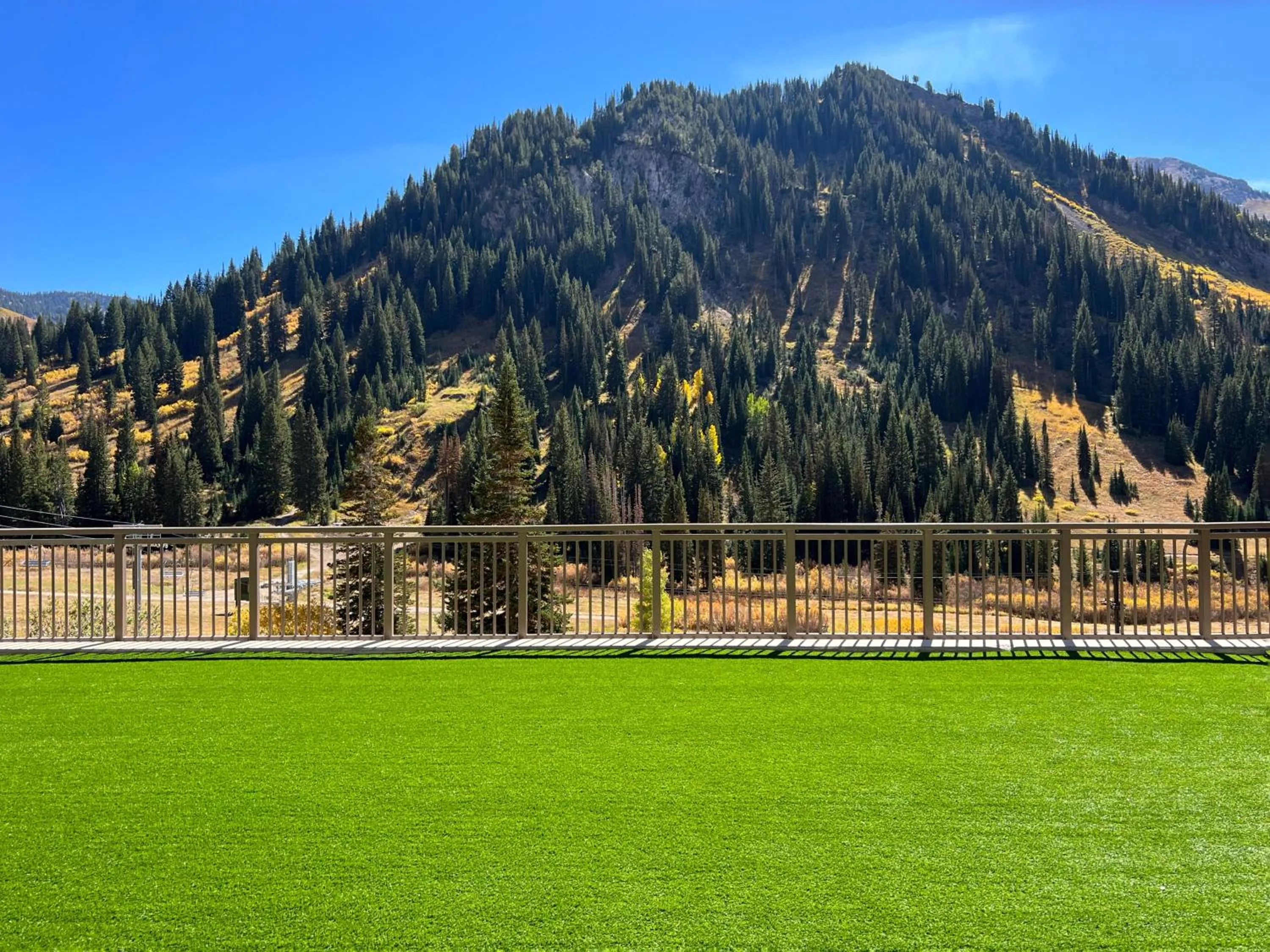 Balcony/Terrace in The Snowpine Lodge