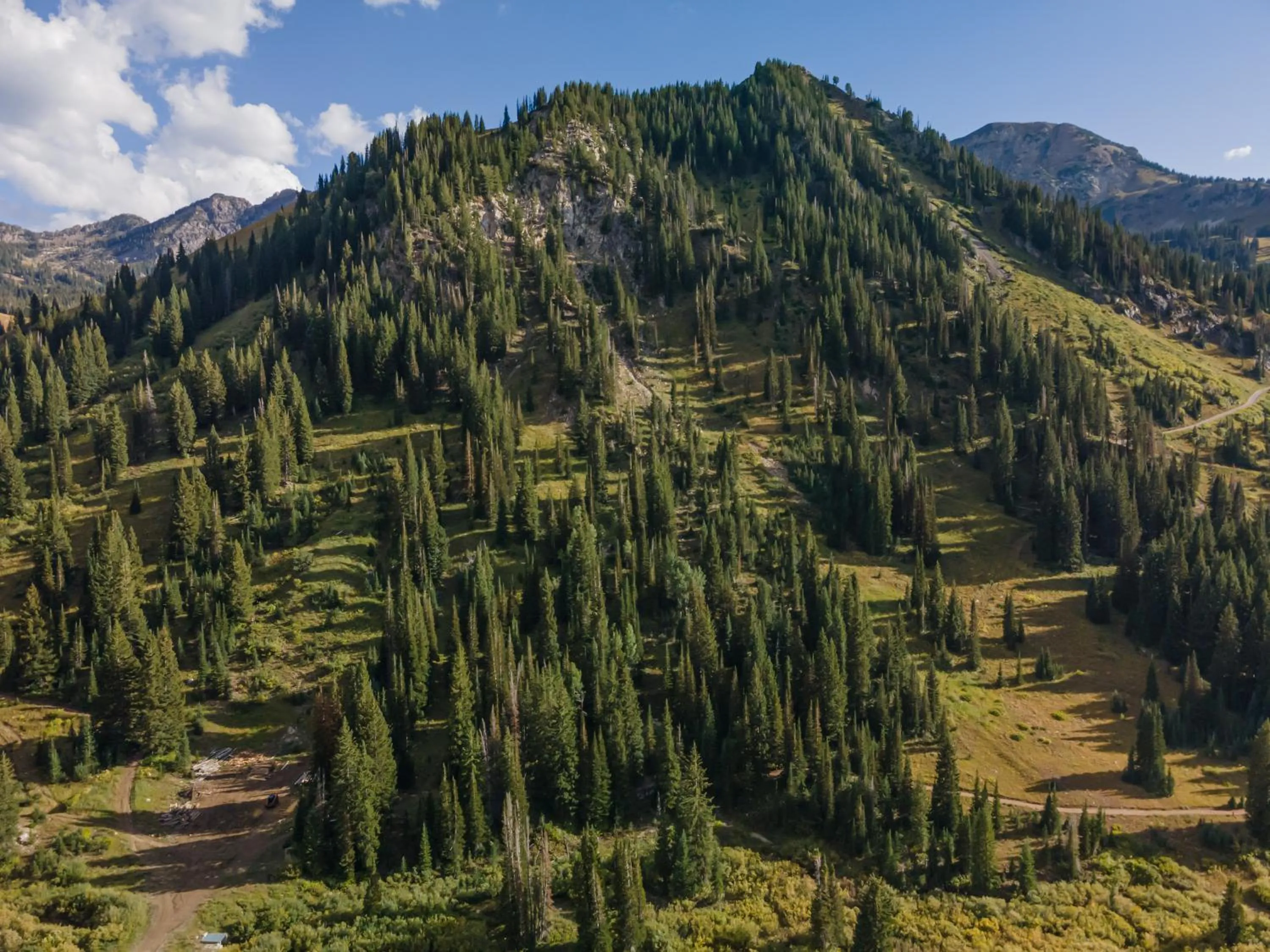 View (from property/room) in The Snowpine Lodge