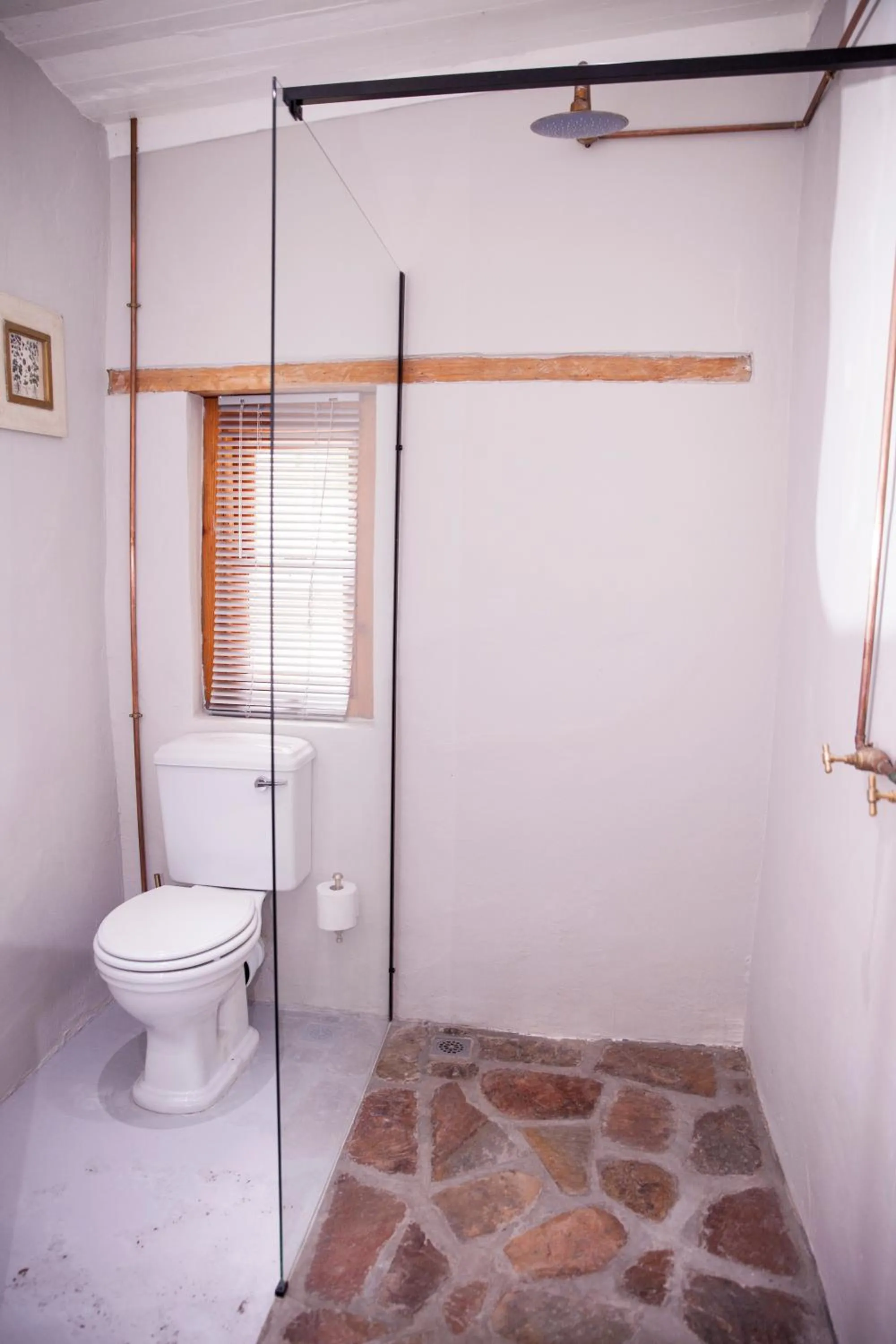 Shower in Compass View