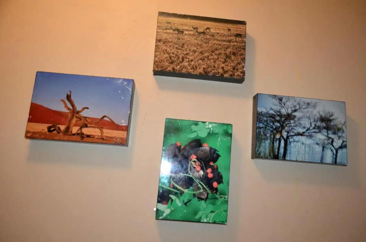 Decorative detail in ST@Y-1-BnB