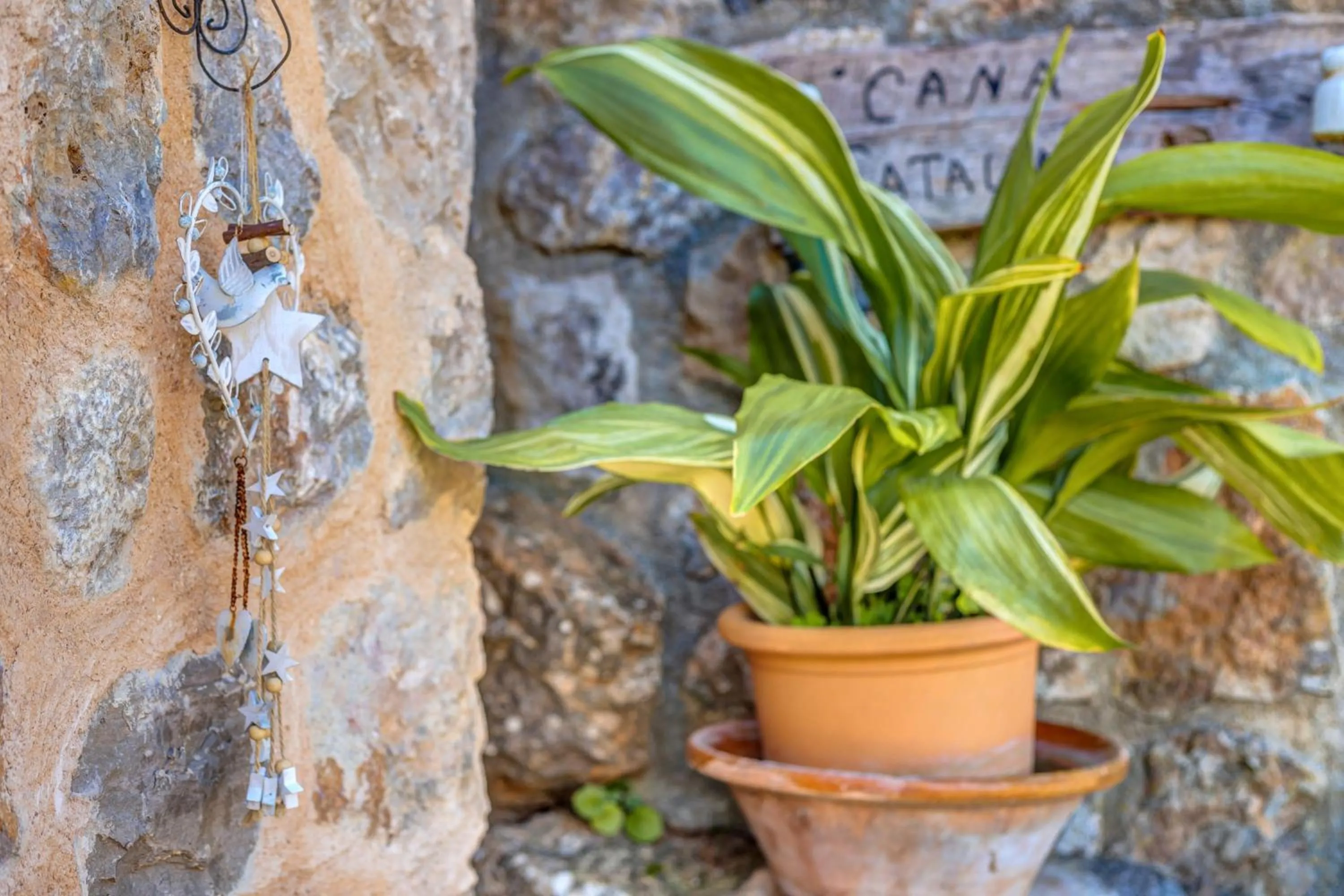Casa Catalina