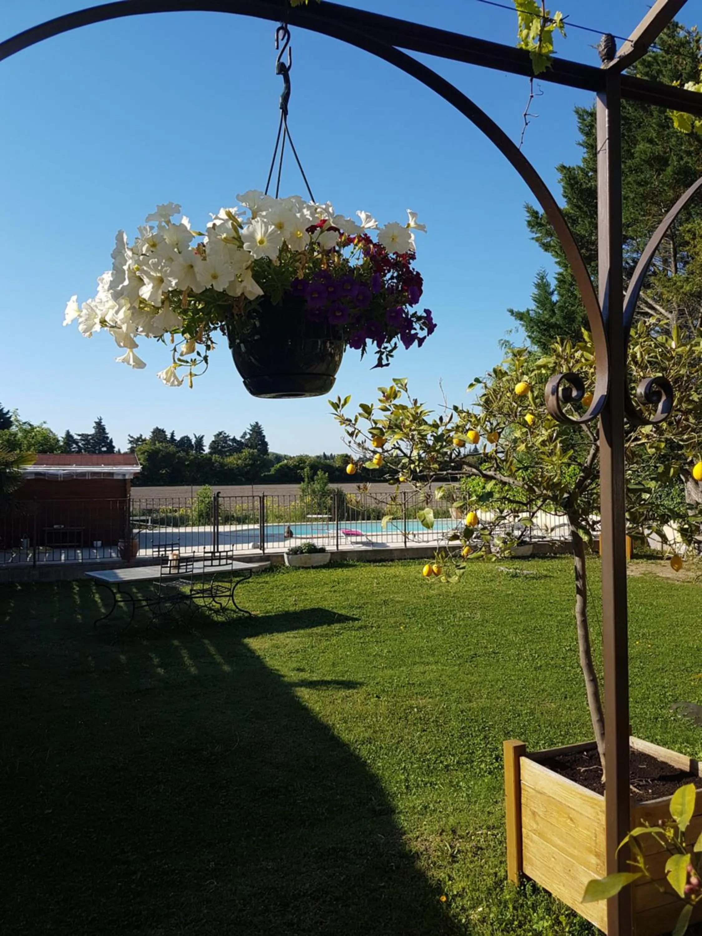 Garden in fleur de garance