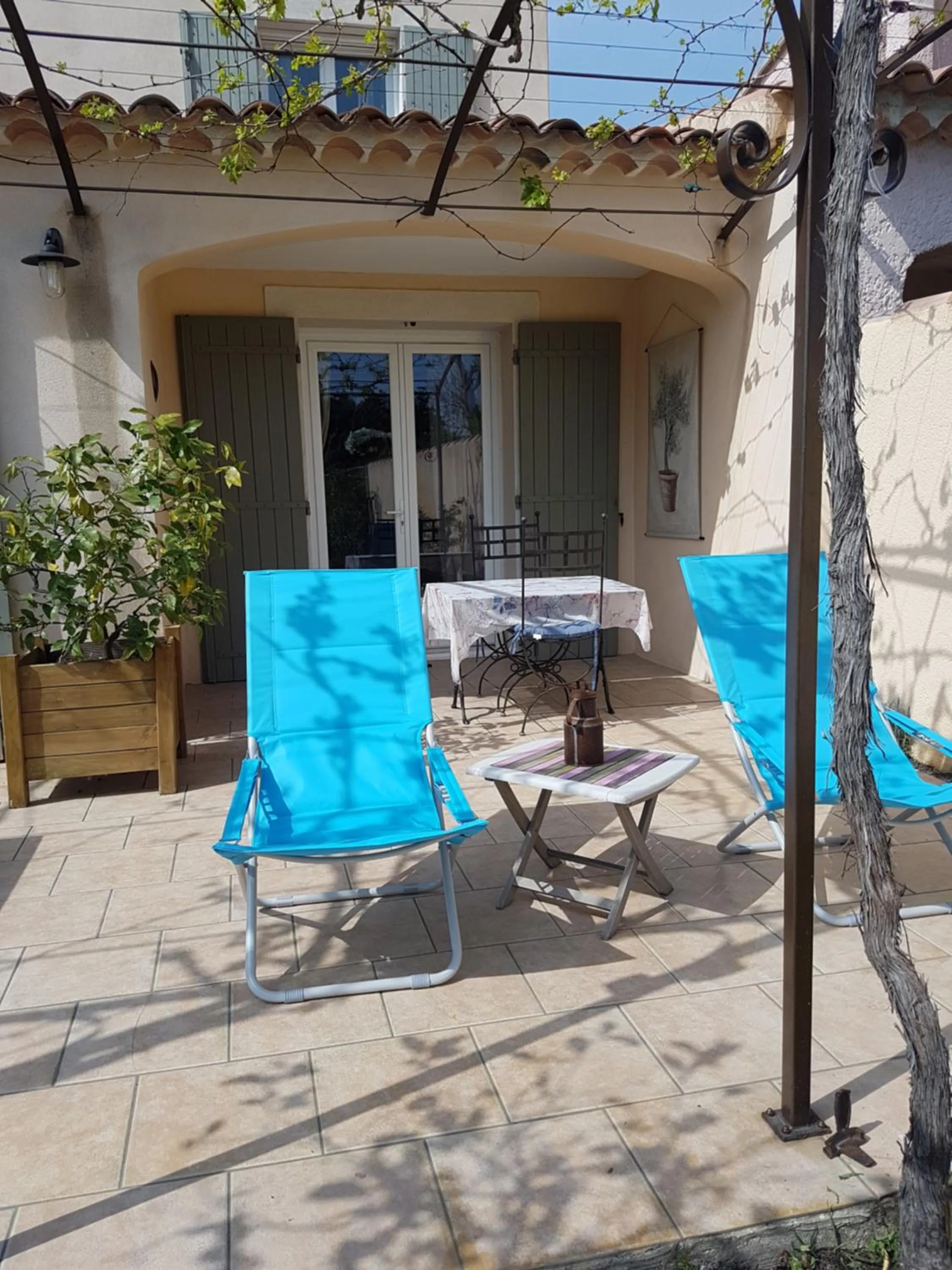 Patio in fleur de garance