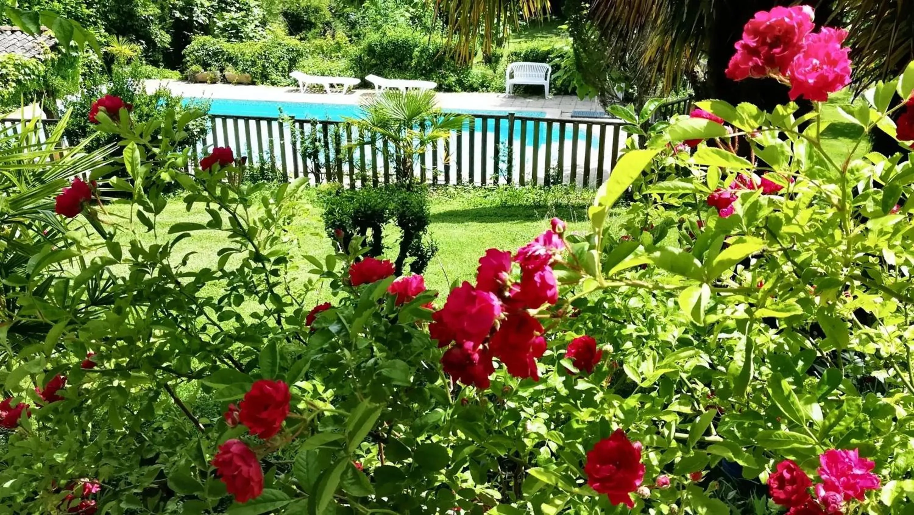 Garden in Villa de charme, Sarlat-la-Canéda, jardin