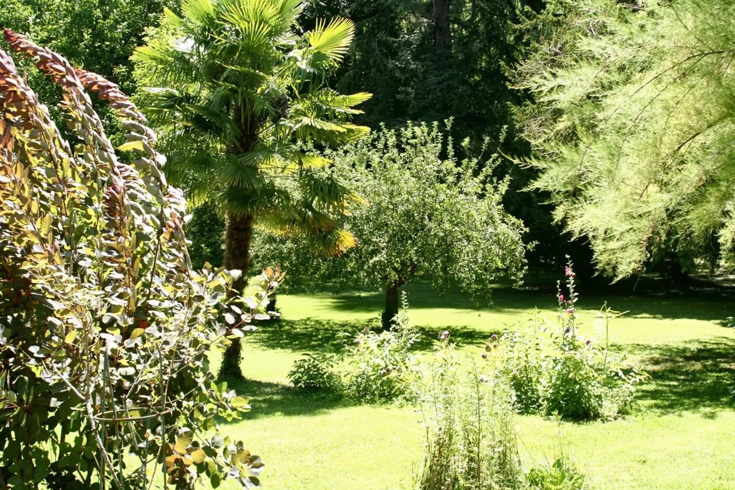 Garden view in Villa de charme, Sarlat-la-Canéda, jardin