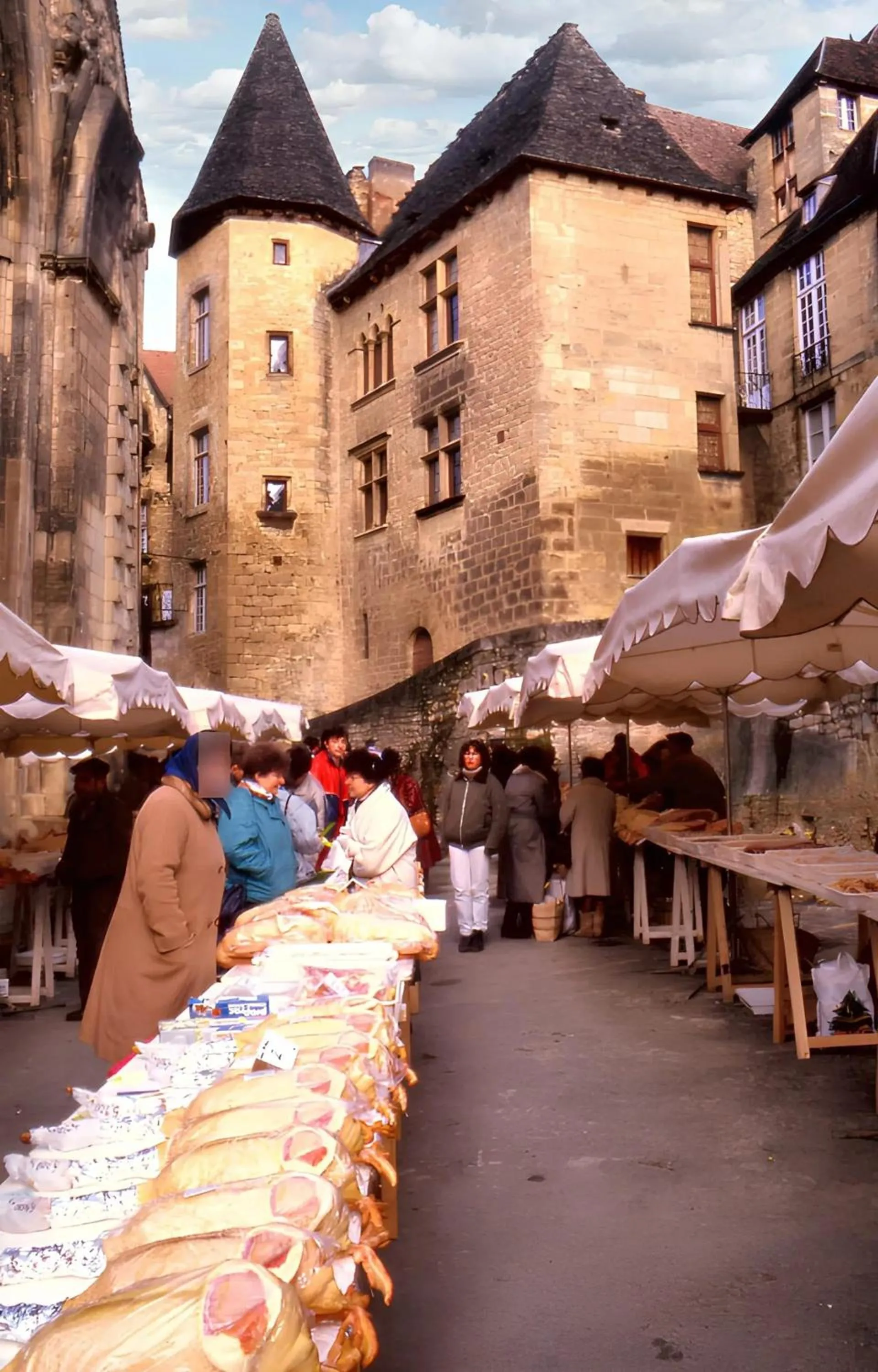 City view in Villa de charme, Sarlat-la-Canéda, jardin
