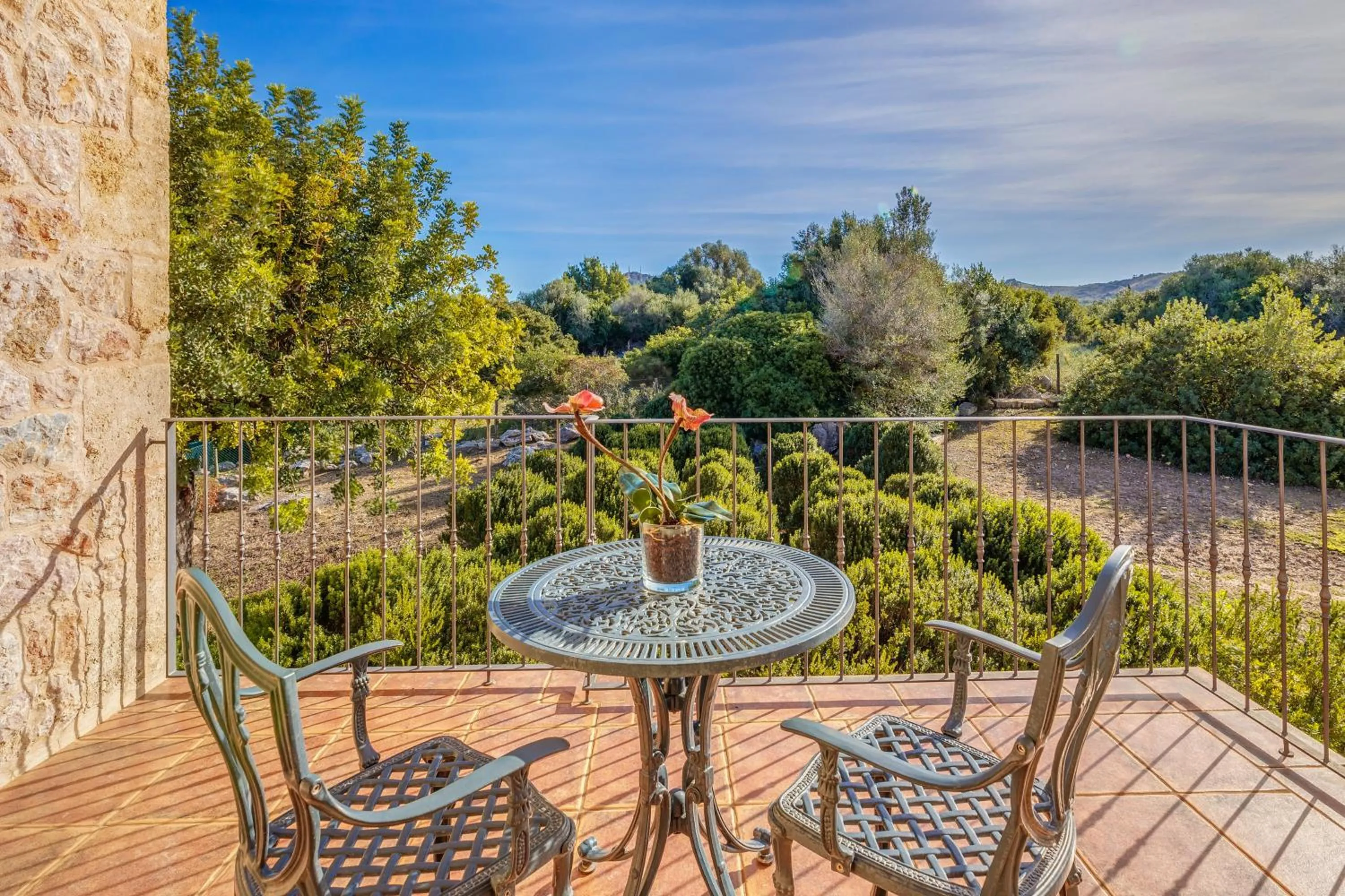 Property building in Es Coster de Na Llusia