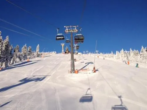 View (from property/room) in Fichtelberghütte