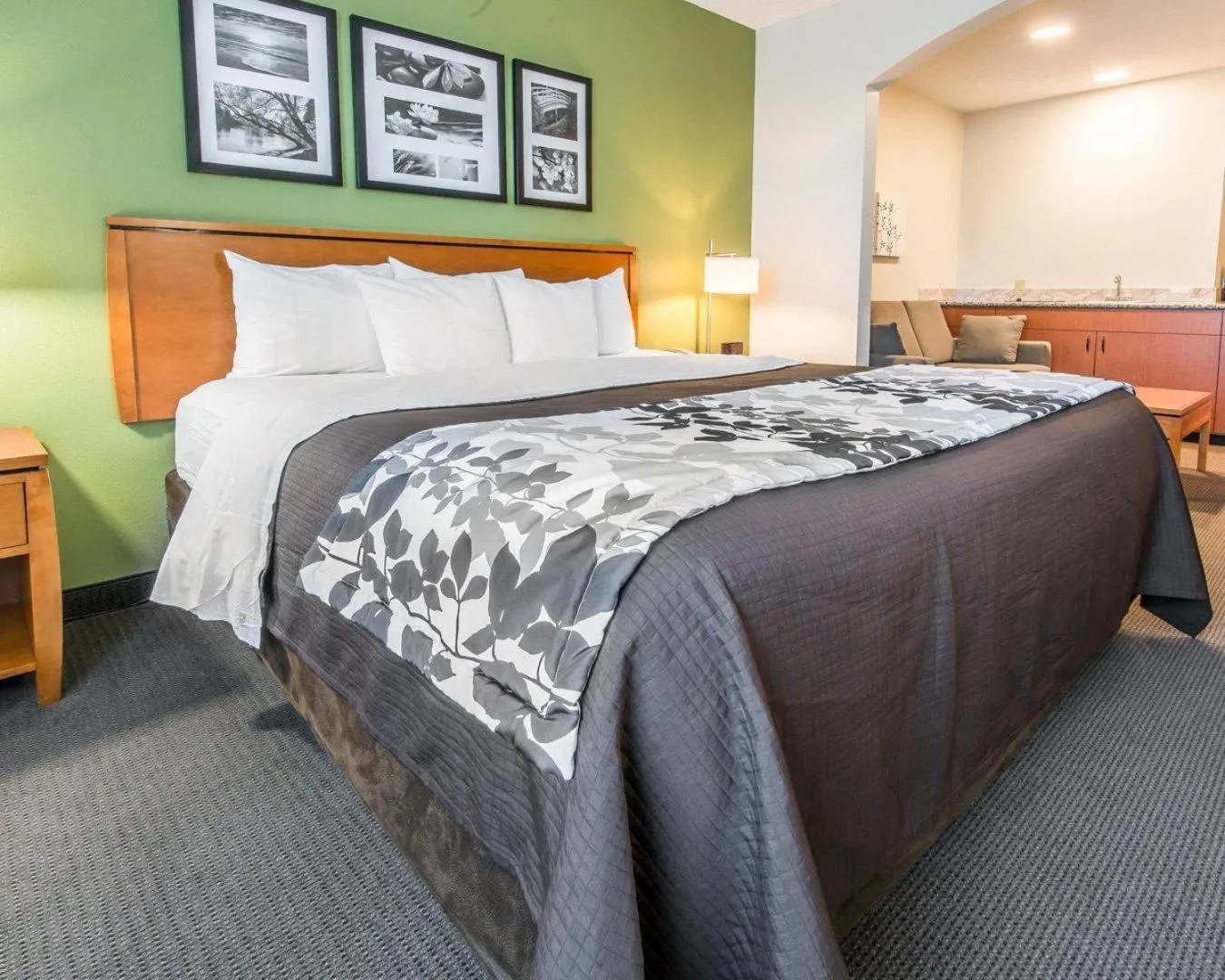 Bedroom, Bed in Sleep Inn & Suites Winchester near University