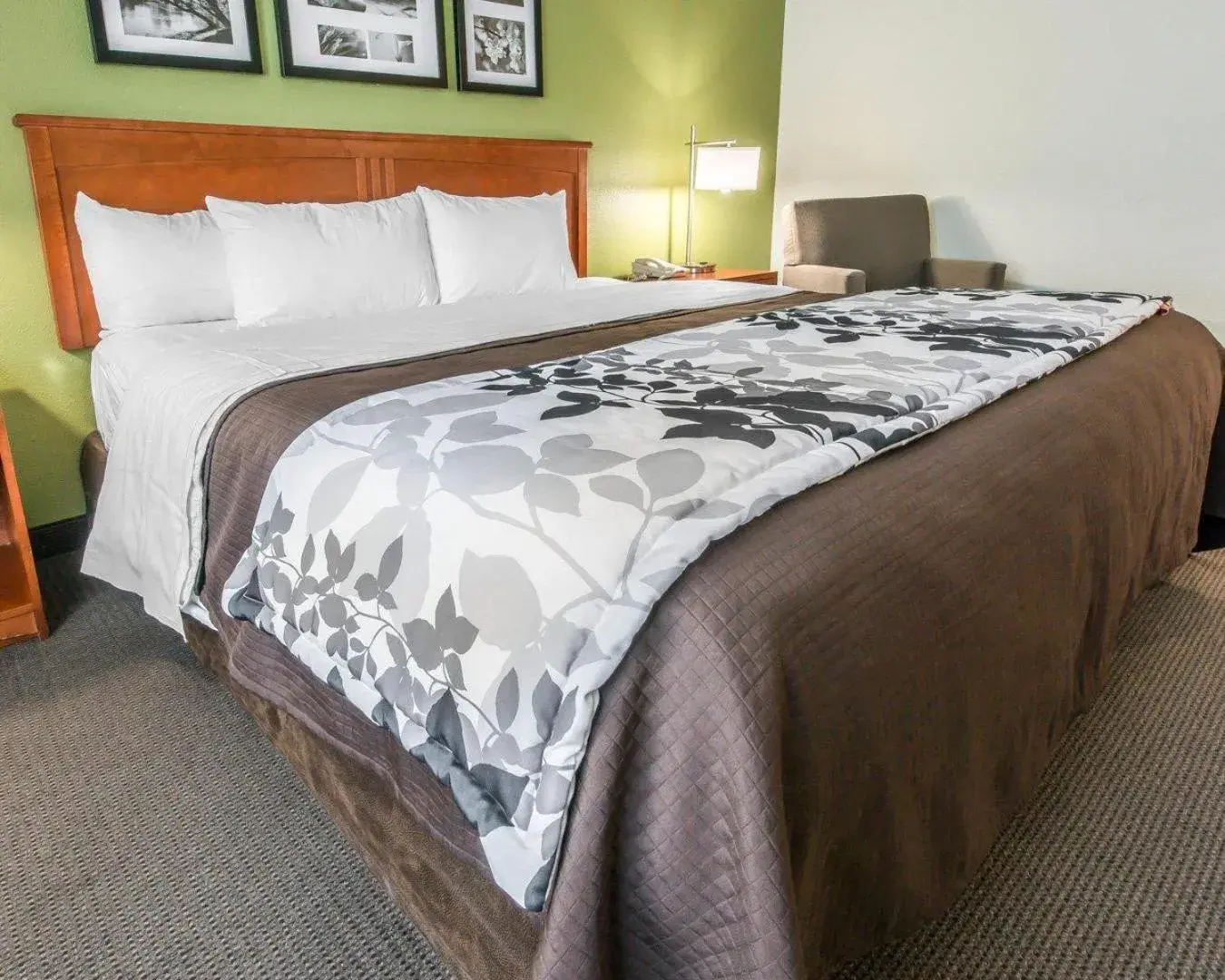 Bedroom, Bed in Sleep Inn & Suites Winchester near University Bedroom, Bed in Sleep Inn & Suites Winchester near University