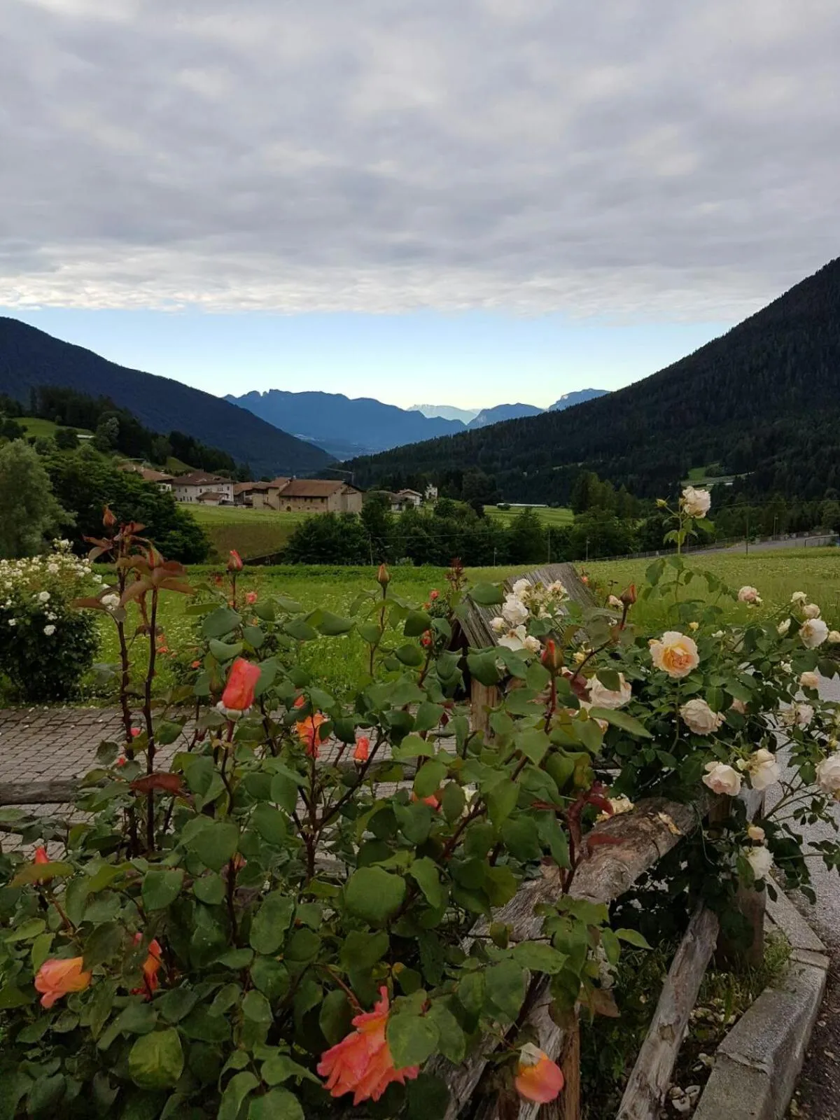 View (from property/room) in B&B Affittacamere Larix