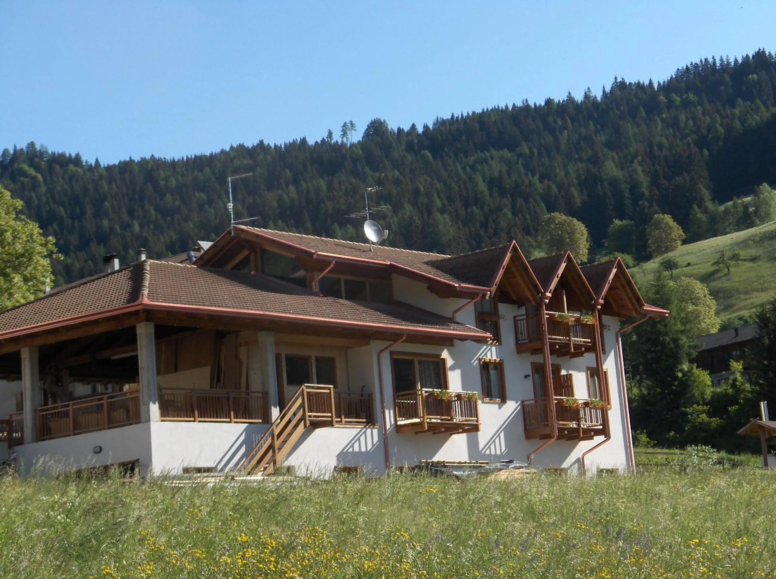 Summer in B&B Affittacamere Larix