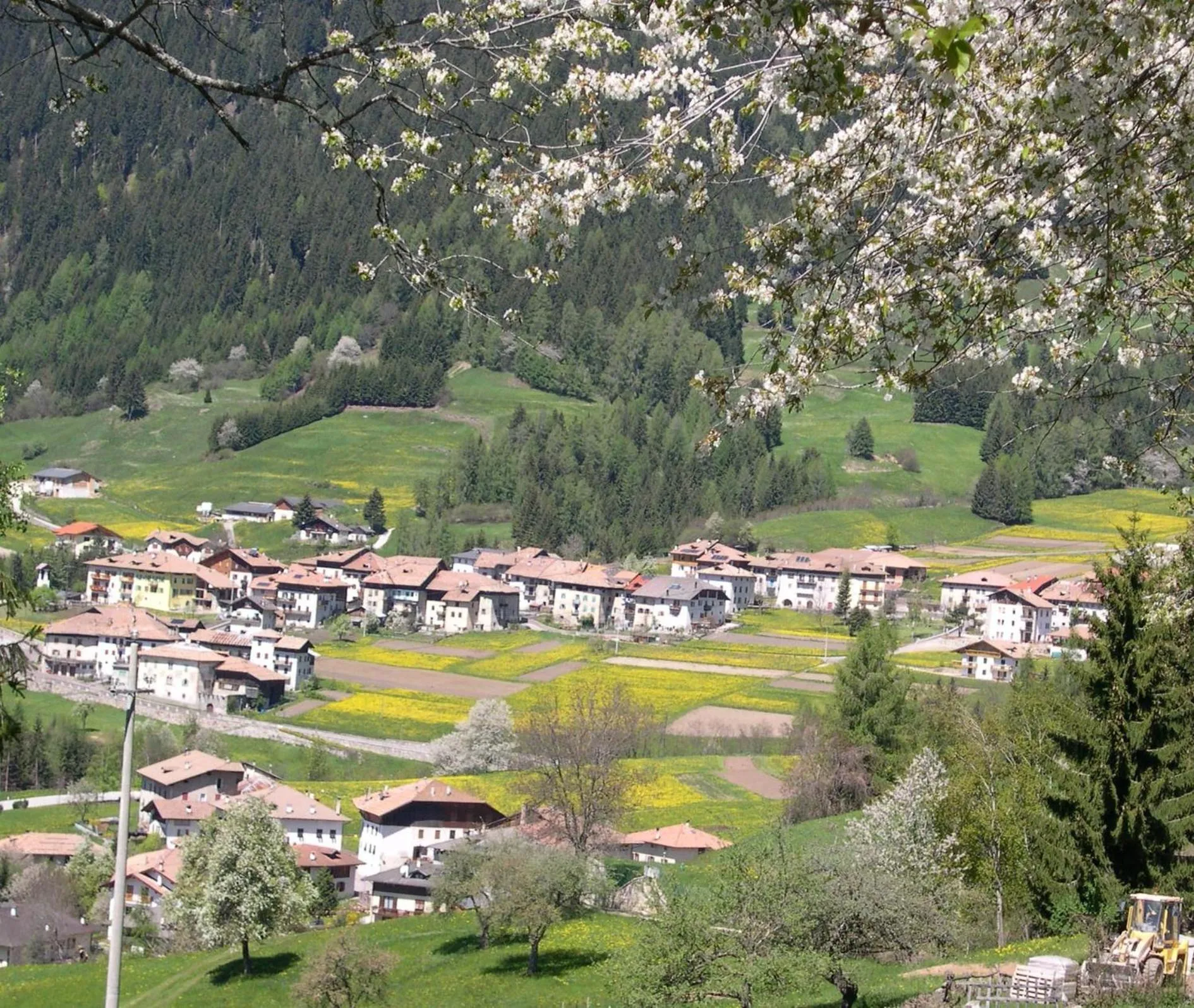 Natural landscape in B&B Affittacamere Larix