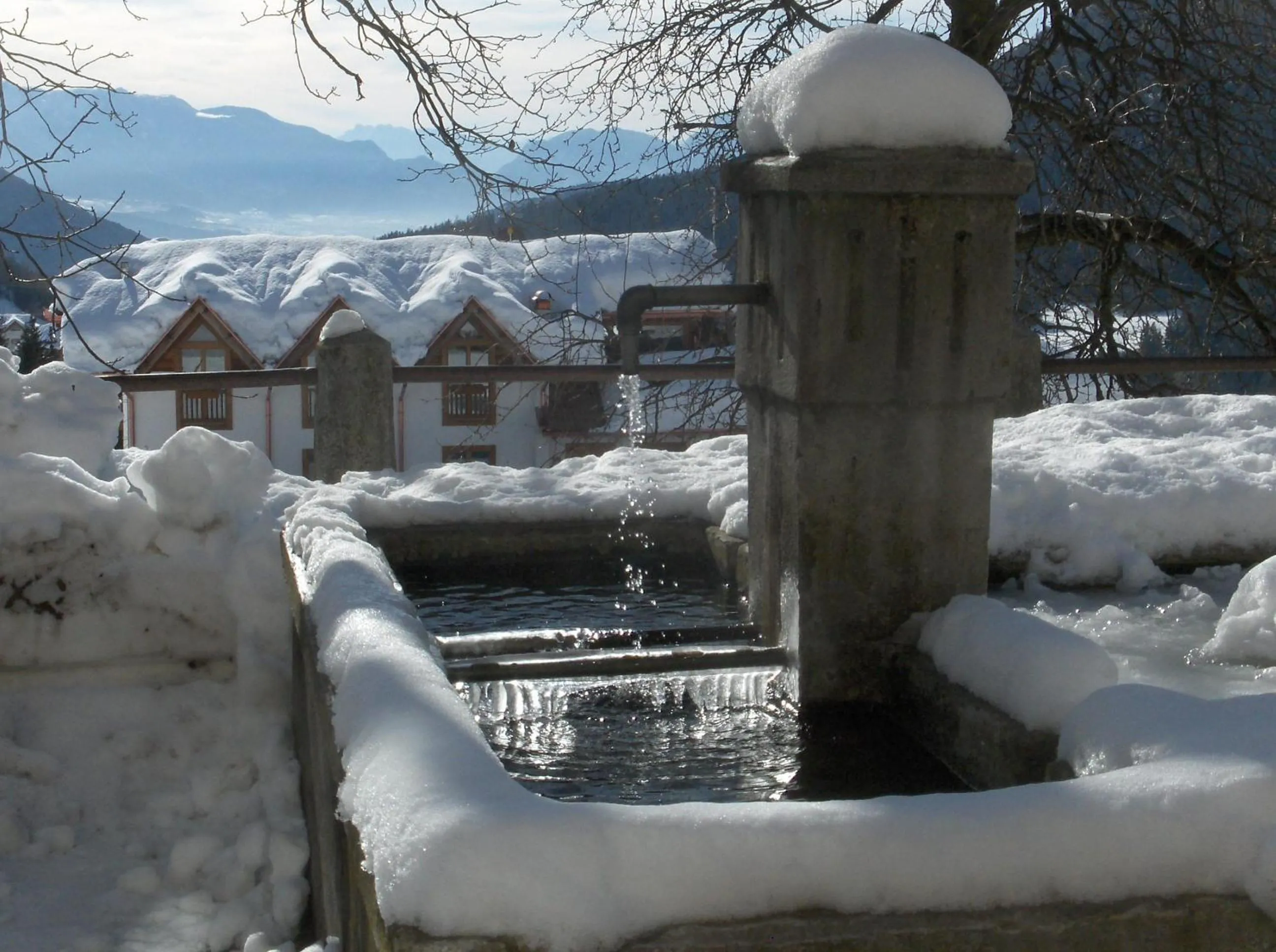Winter in B&B Affittacamere Larix