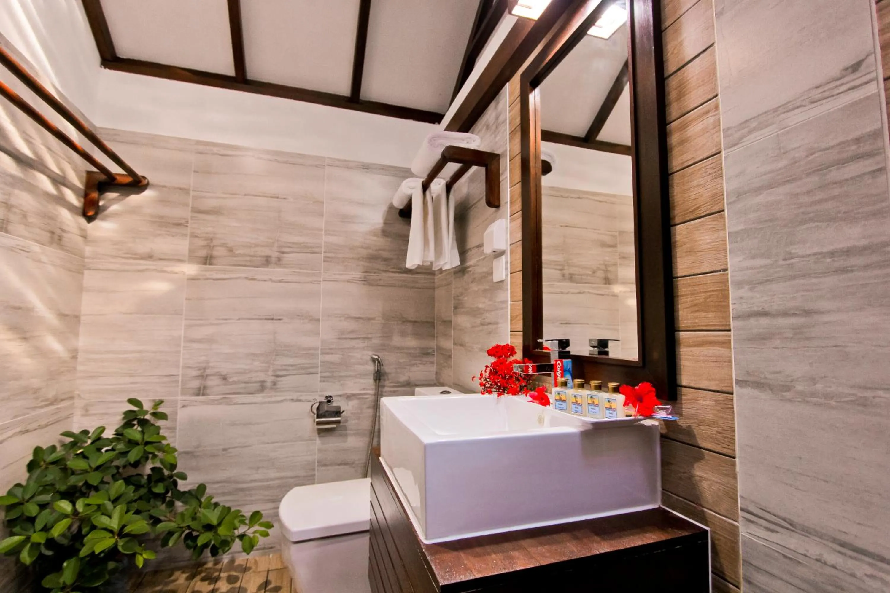 Bathroom in Beach Cottage