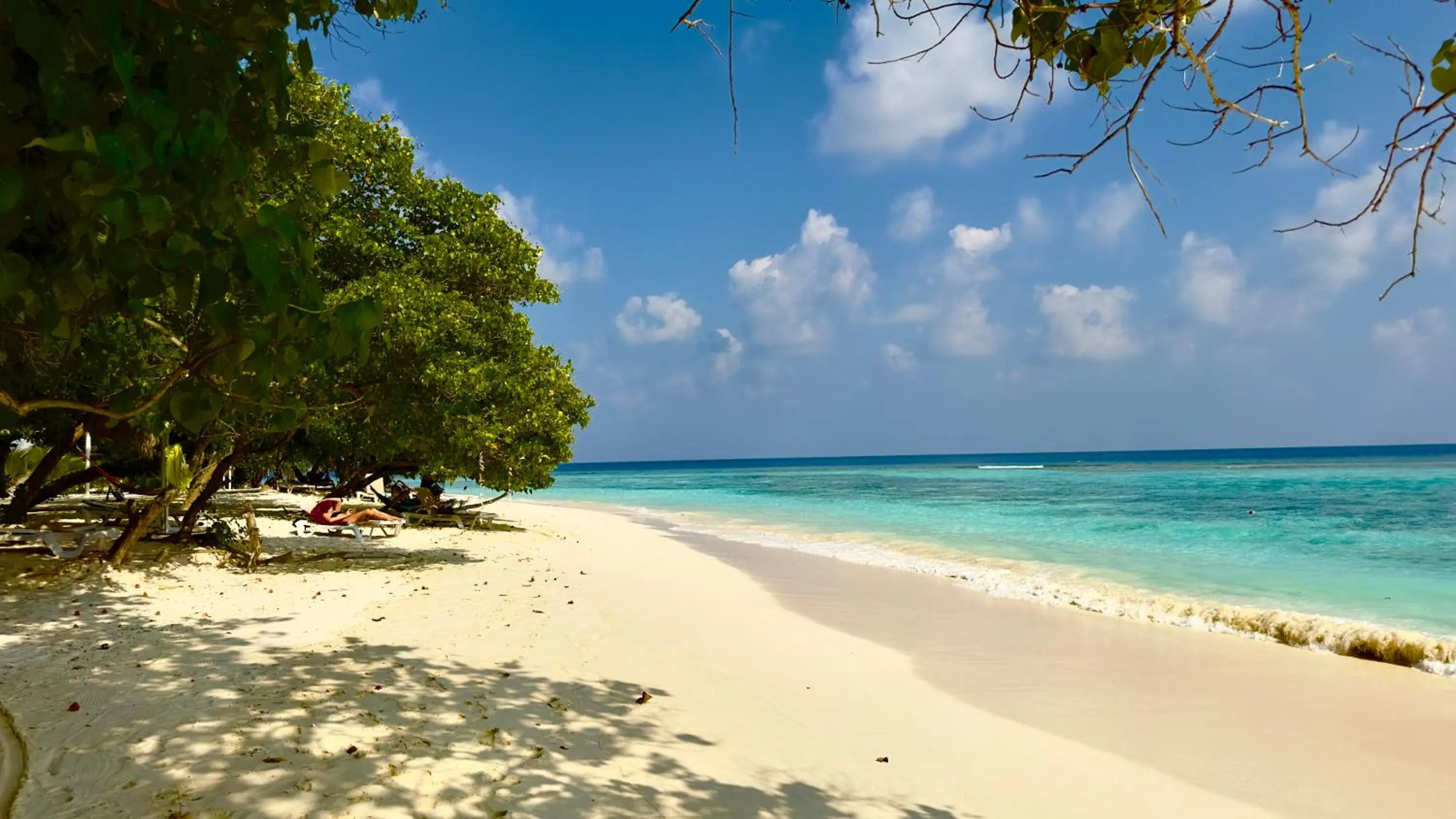 Beach in Beach Cottage
