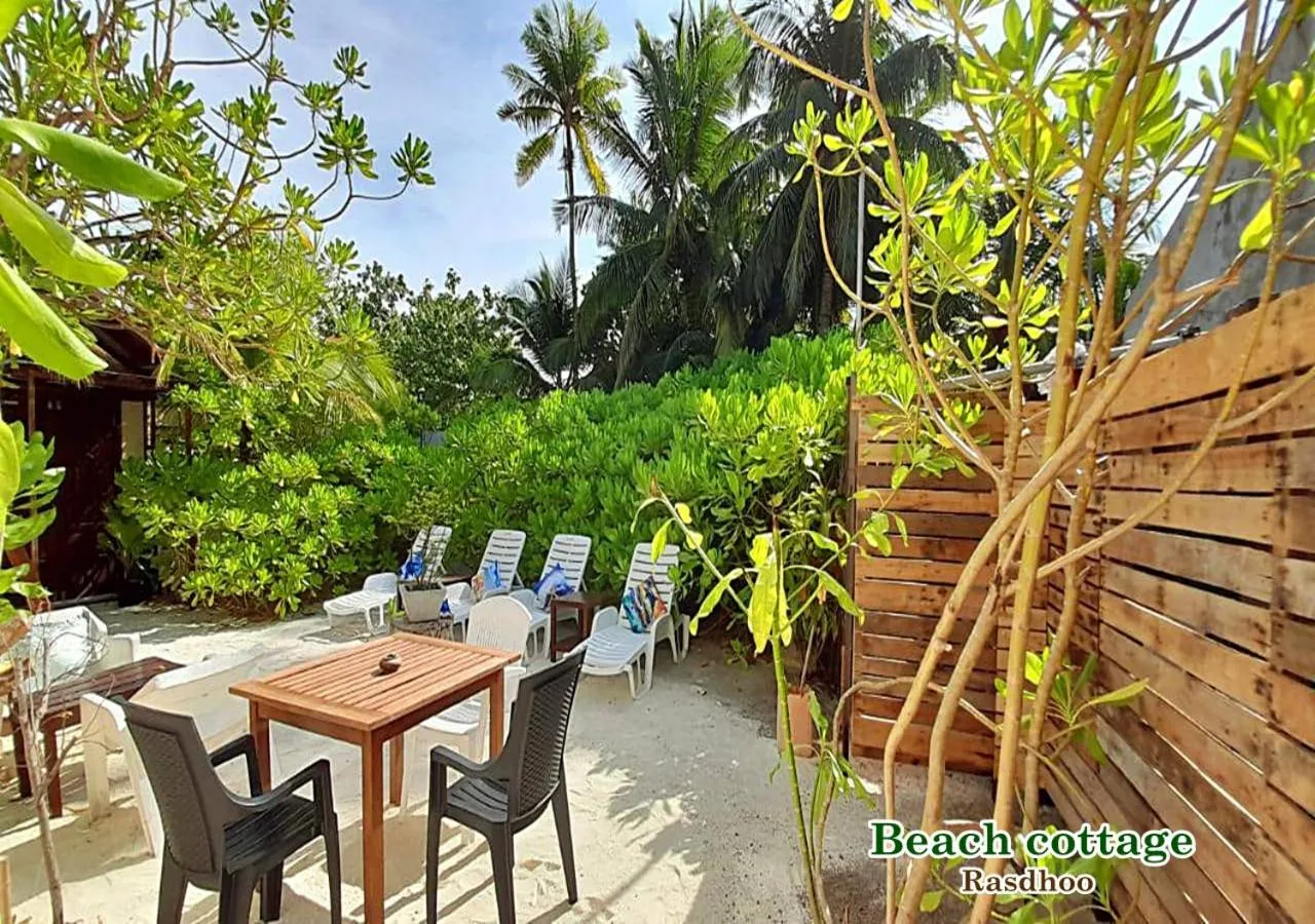 Garden in Beach Cottage
