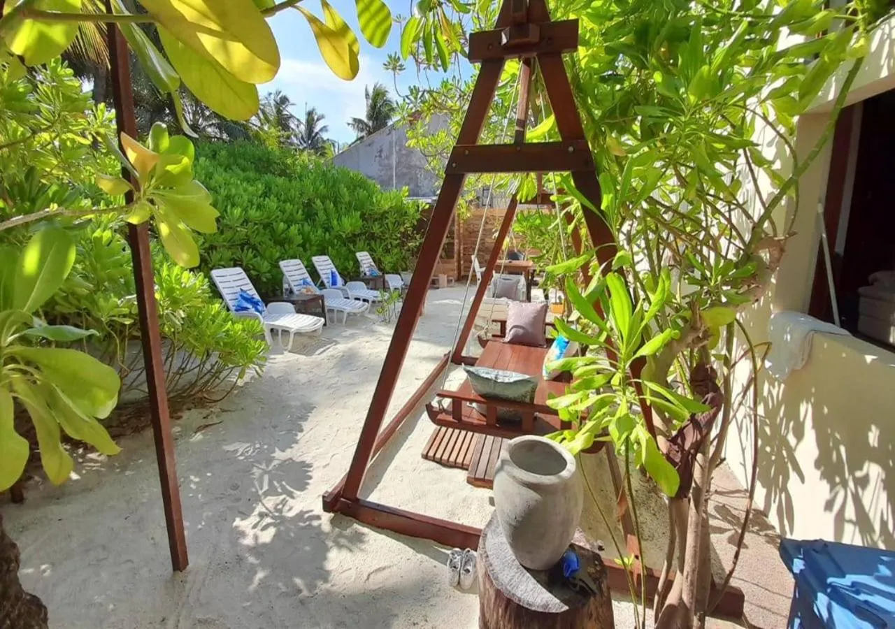 Garden in Beach Cottage