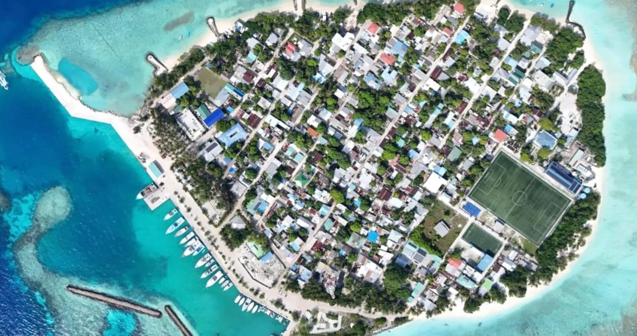 Natural landscape in Beach Cottage