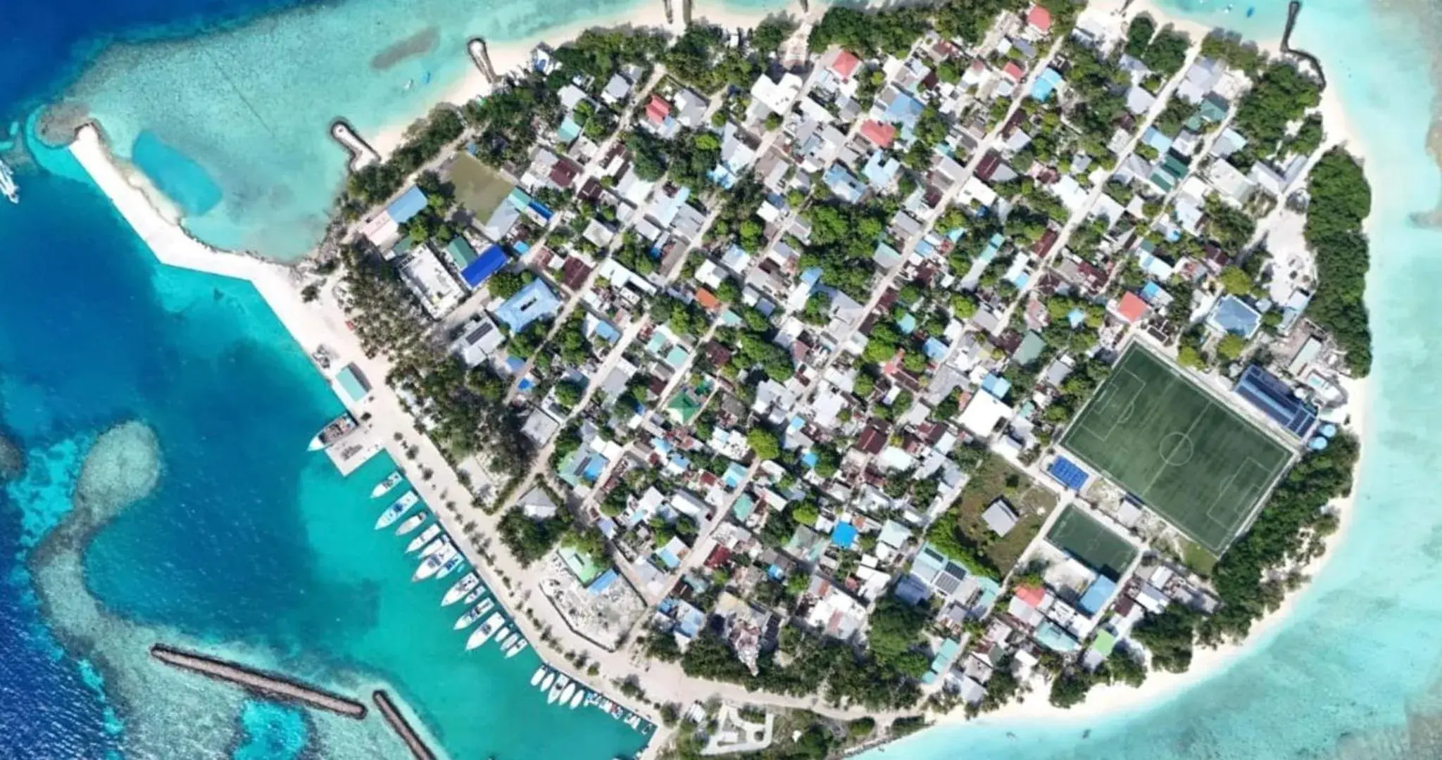 Beach Cottage Beach Cottage