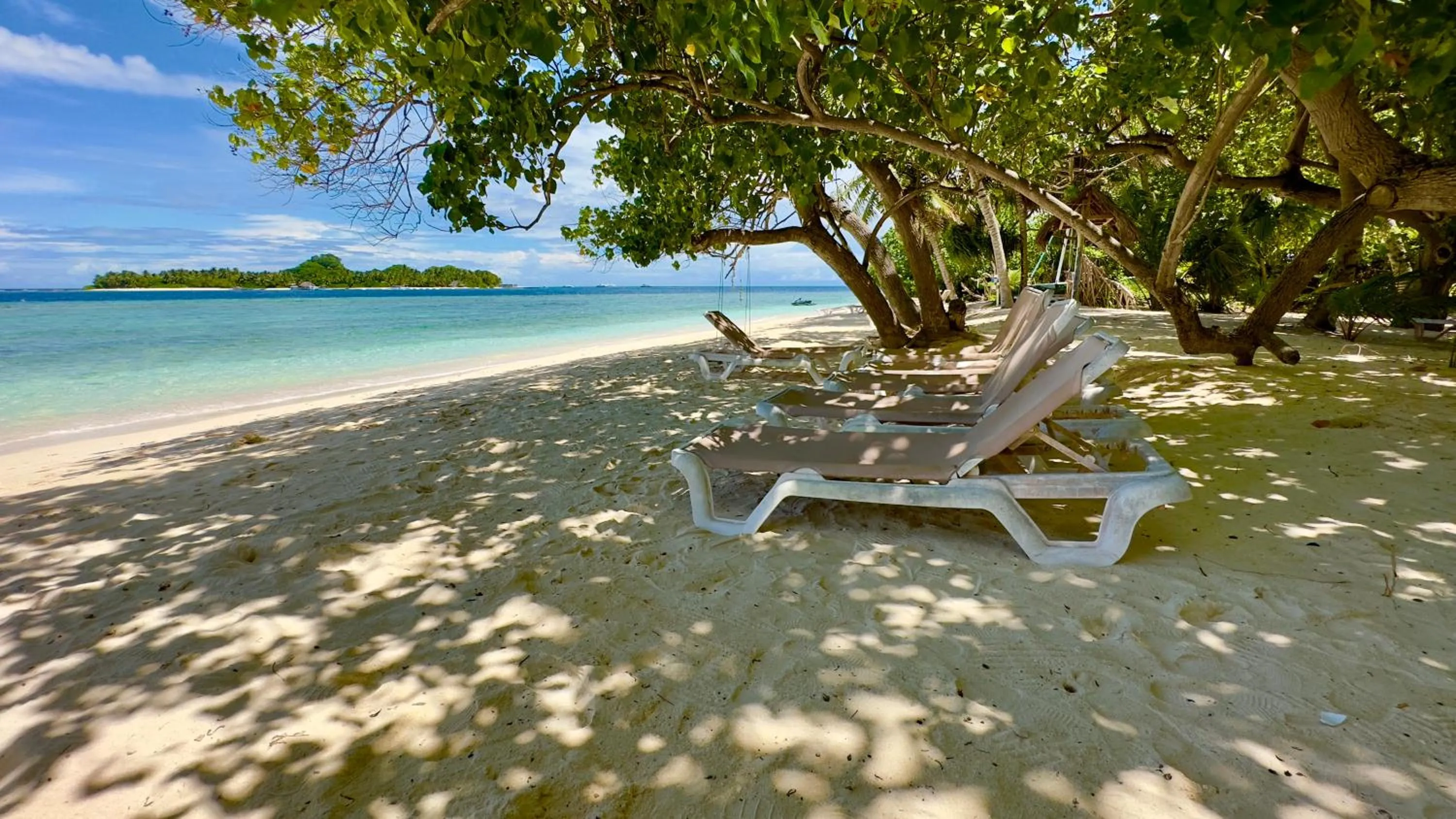 Beach in Beach Cottage