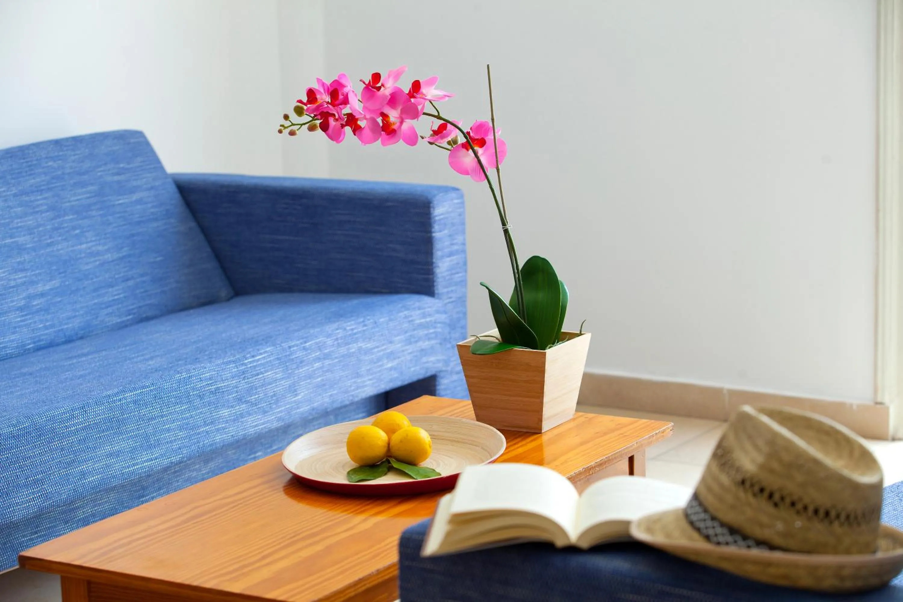 Living room in Paloma Hotel Apartments