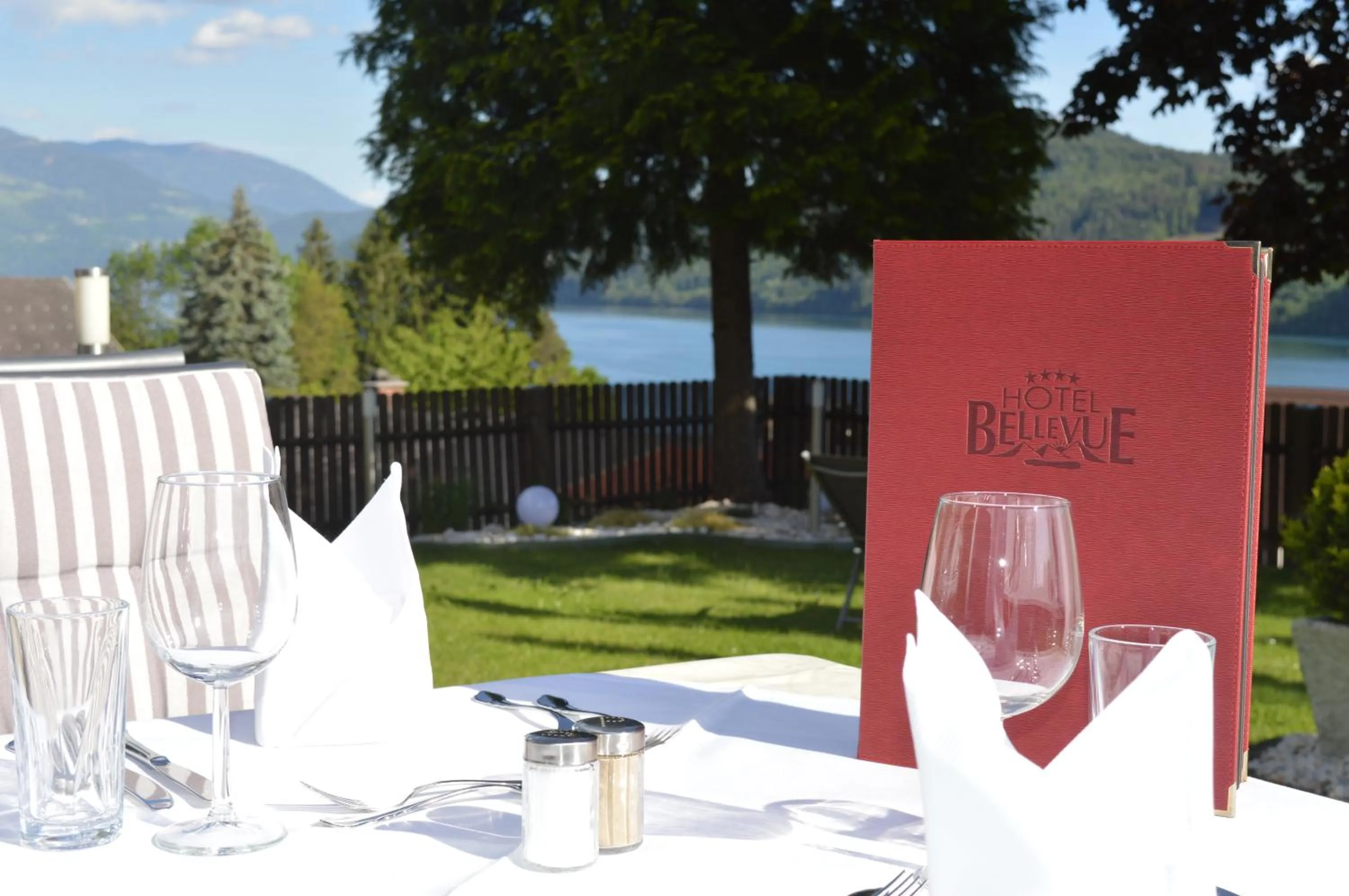 Garden view in Hotel Bellevue