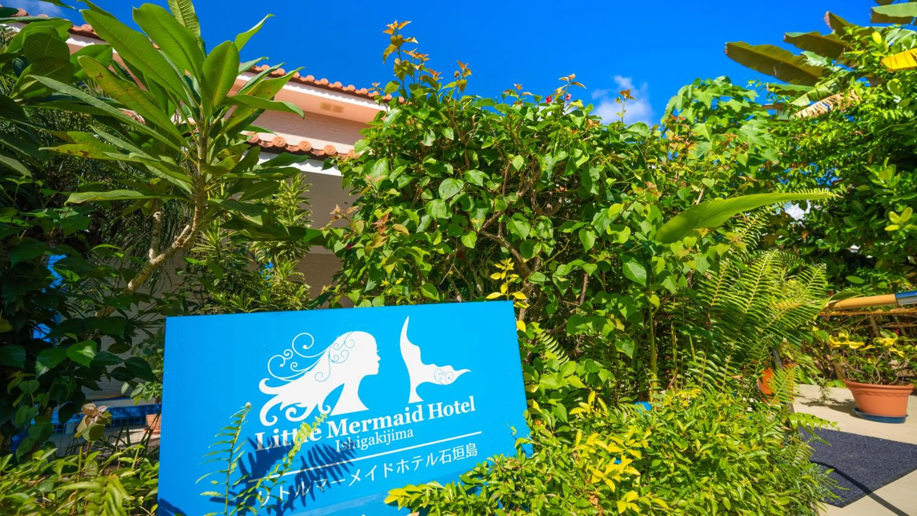 Area and facilities in Little Mermaid Hotel Ishigakijima