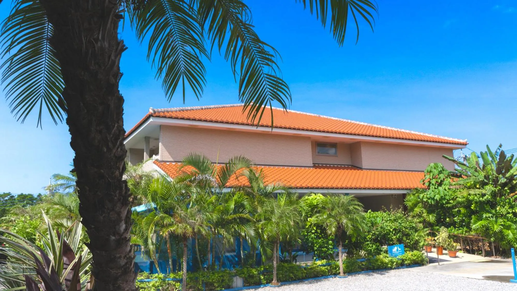 Area and facilities in Little Mermaid Hotel Ishigakijima