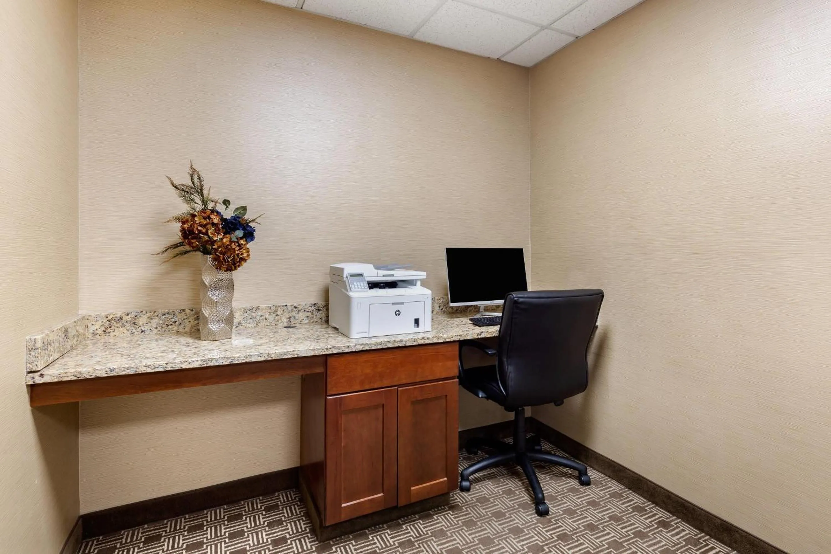Business facilities in Comfort Inn Aikens Center