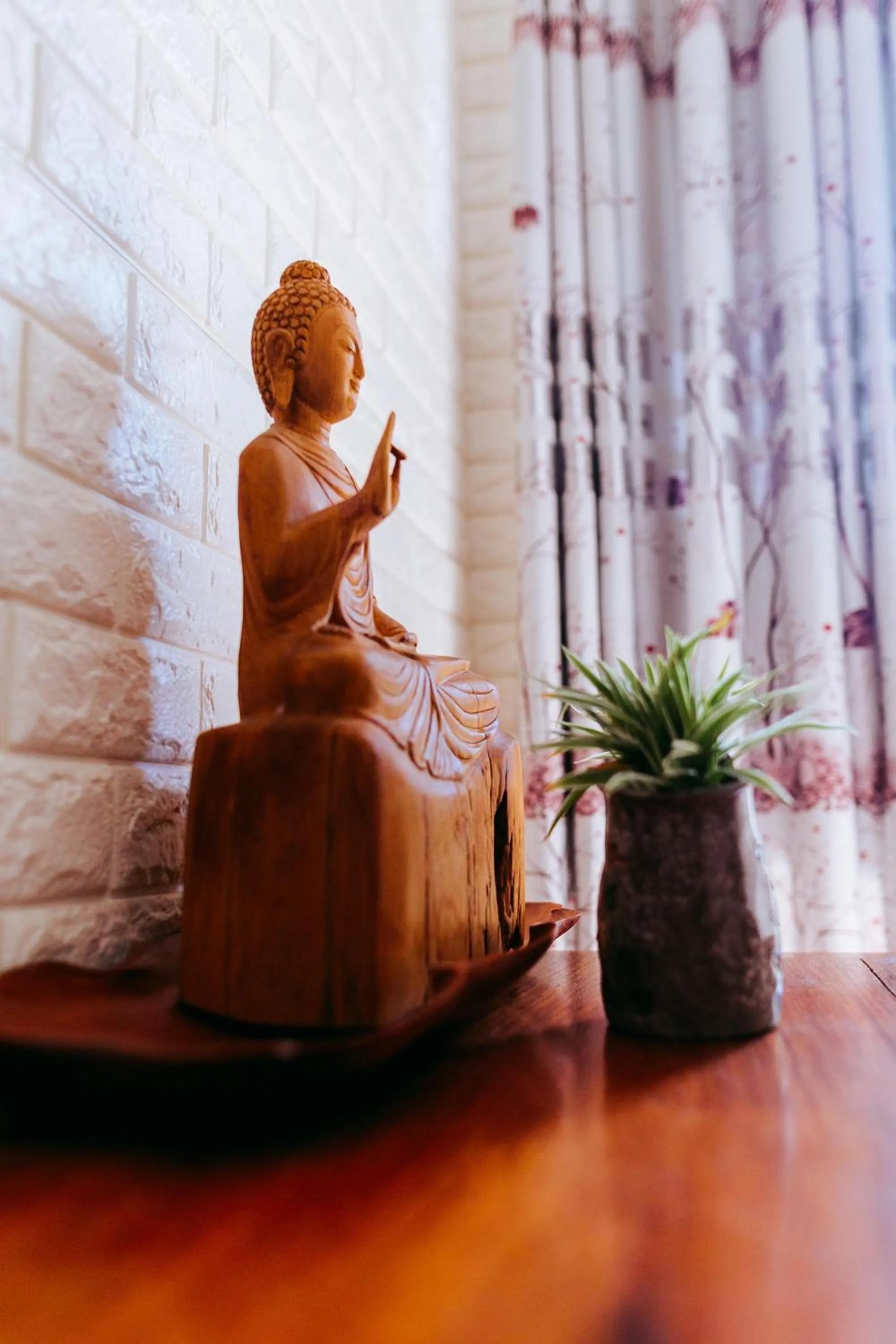 Activities in Kota's House Homestay