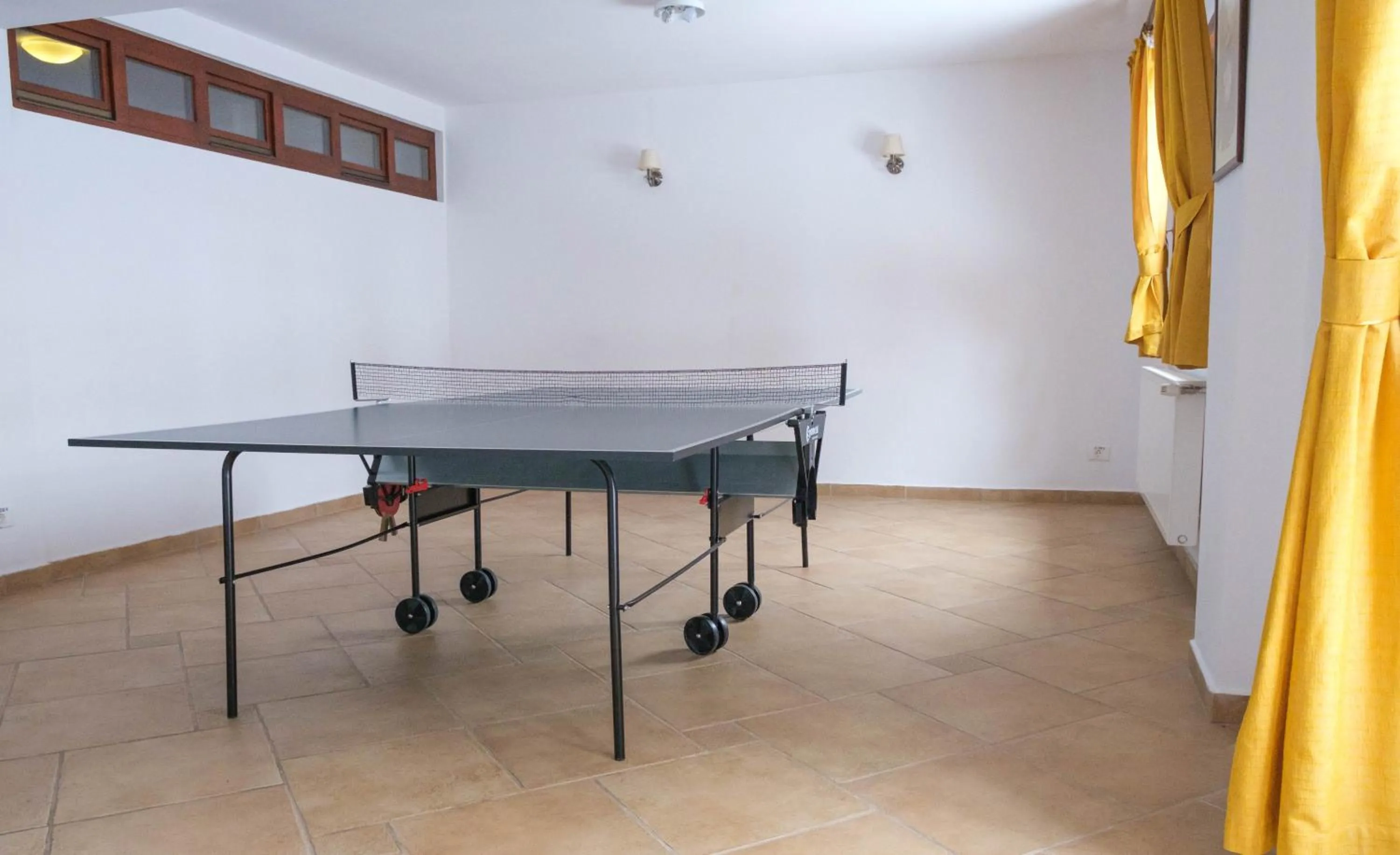 Entertainment in Pensiunea Casa Nostalgia