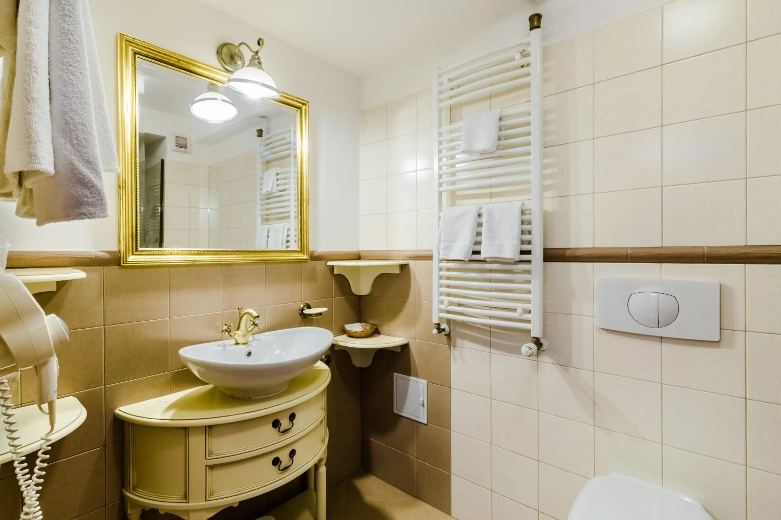 Shower in Pensiunea Casa Nostalgia